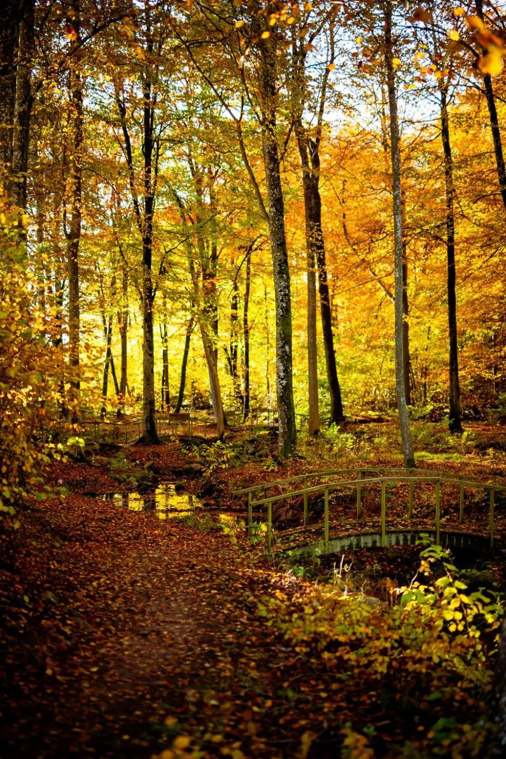 Natural landscape in Margretetorps Gästgifvaregård