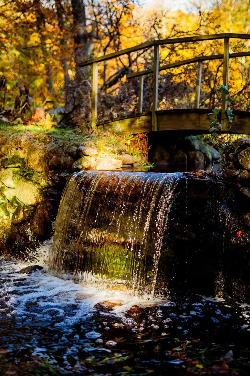 River view in Margretetorps Gästgifvaregård