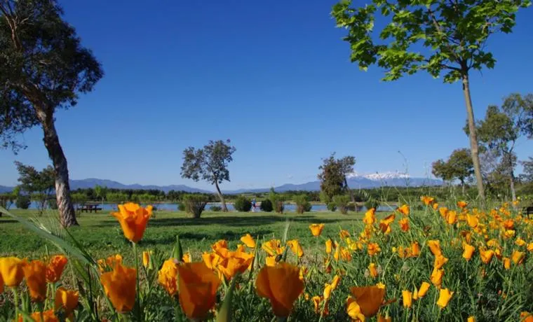 Off site in Brit Hotel Porte d'Espagne