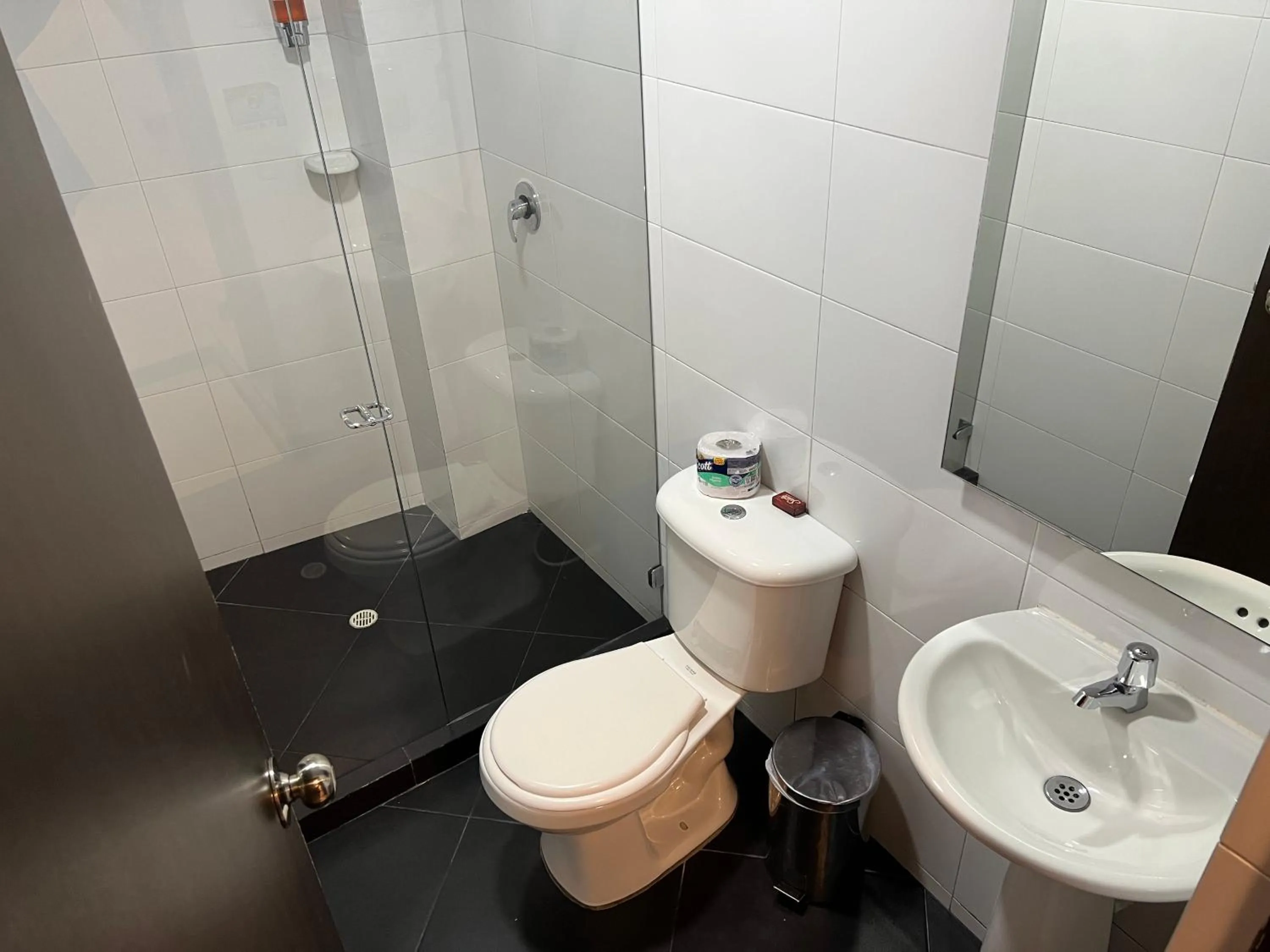 Bathroom in Hotel Ferias Park