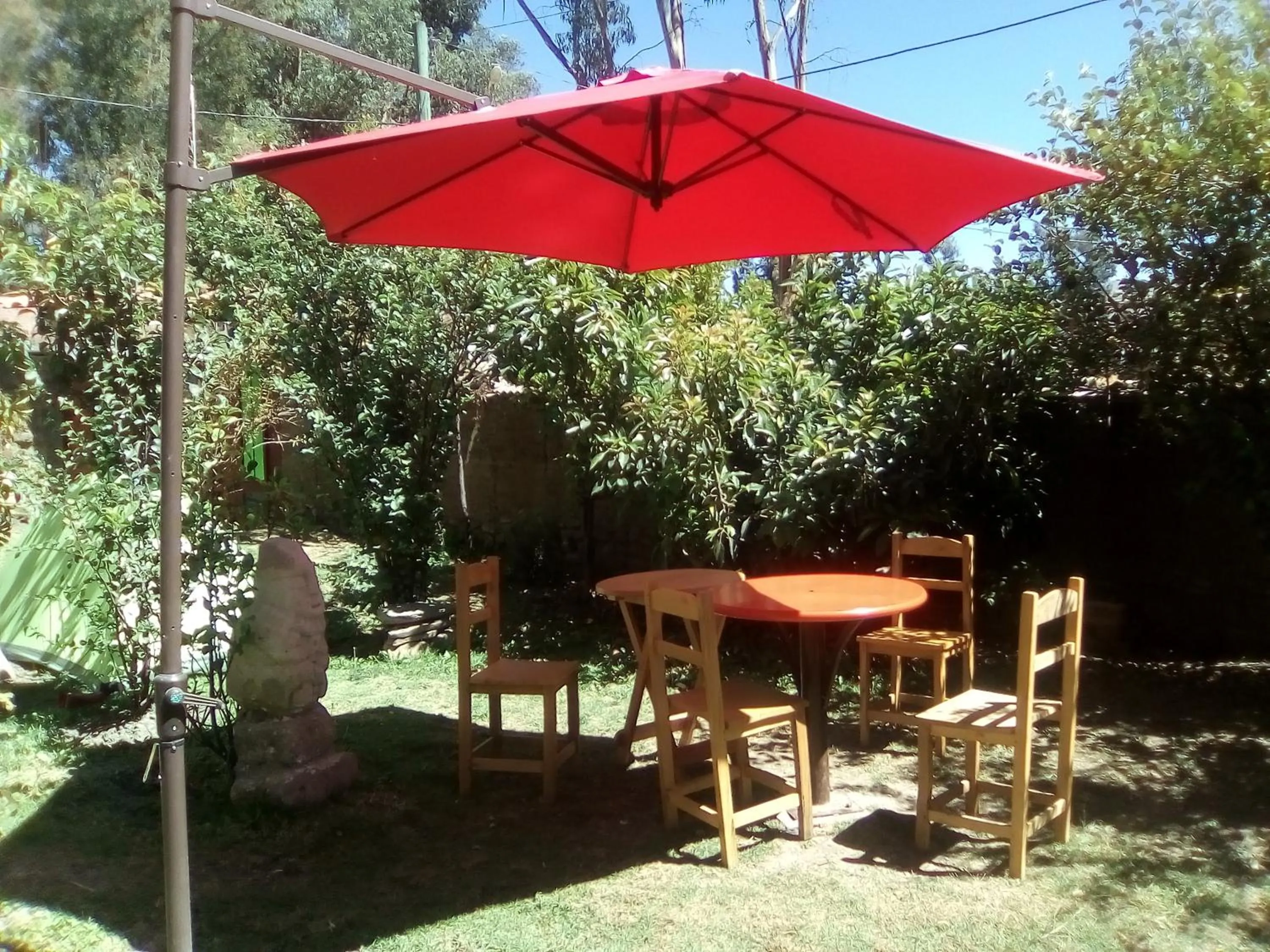 Garden in Hostal Casa del Montañista