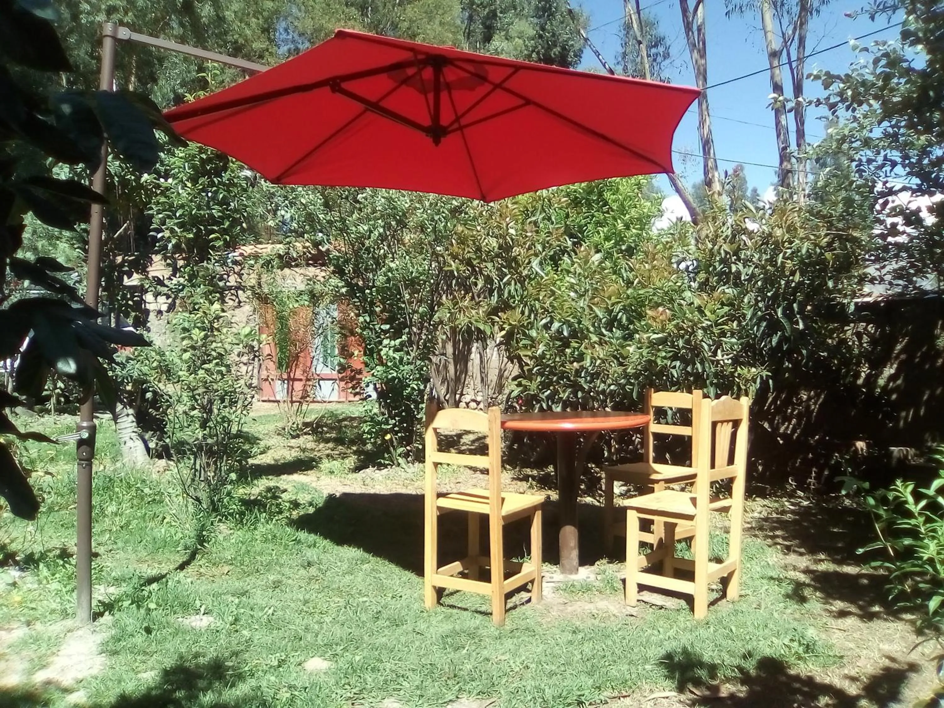 Garden in Hostal Casa del Montañista