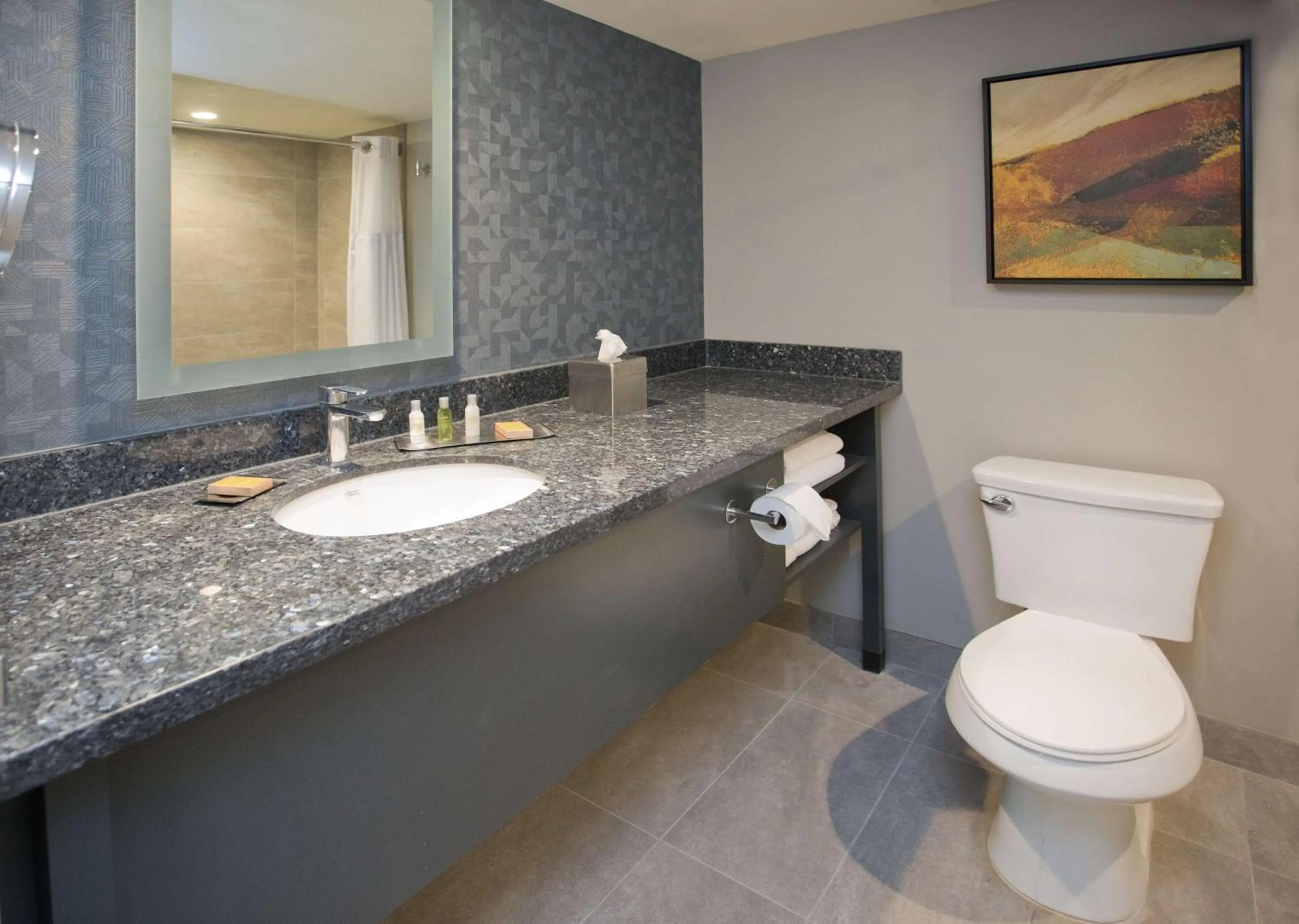 Bathroom in Doubletree By Hilton Chico, Ca