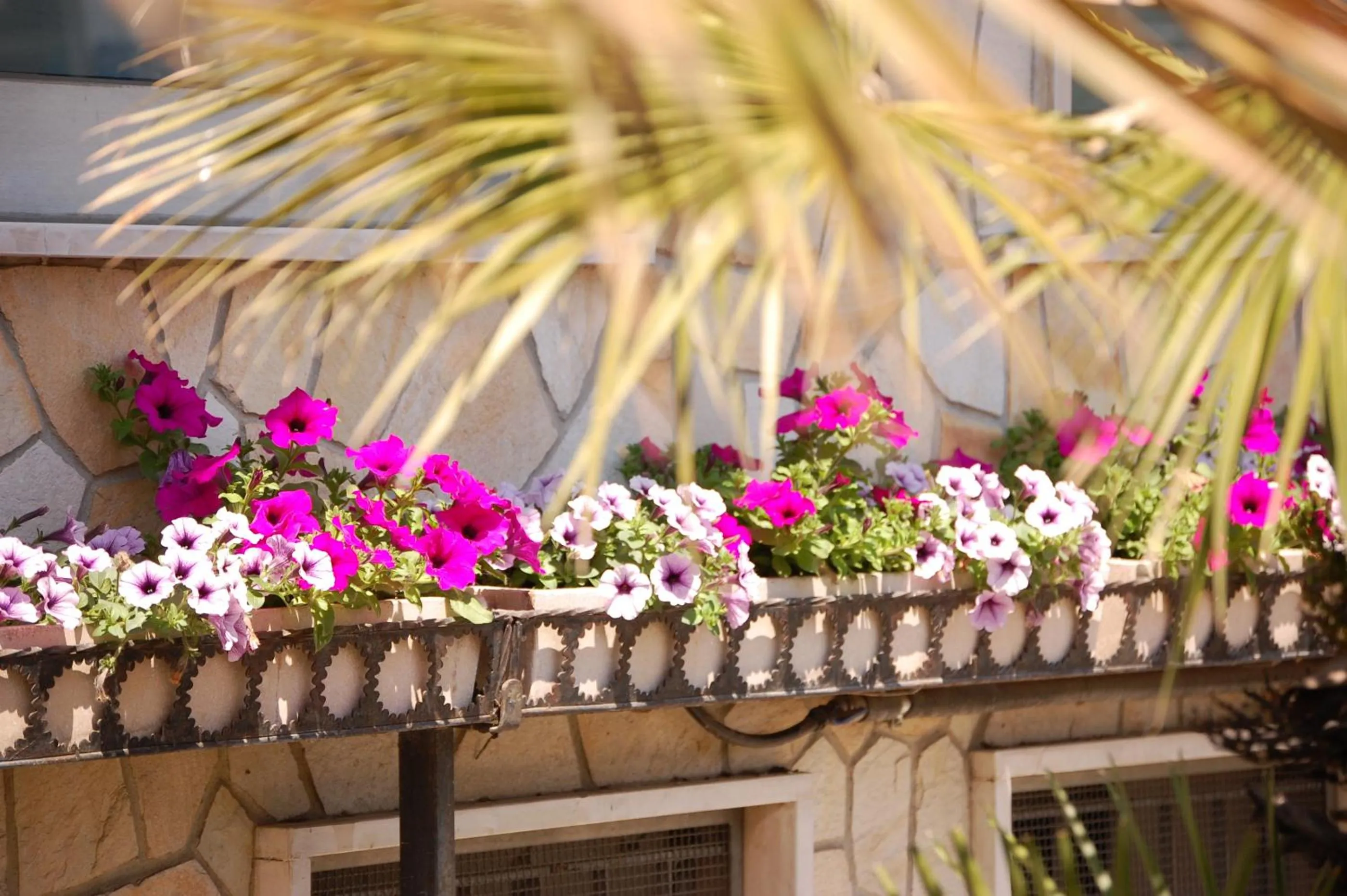 Balcony/Terrace in Hotel Ristorante Novara Expo