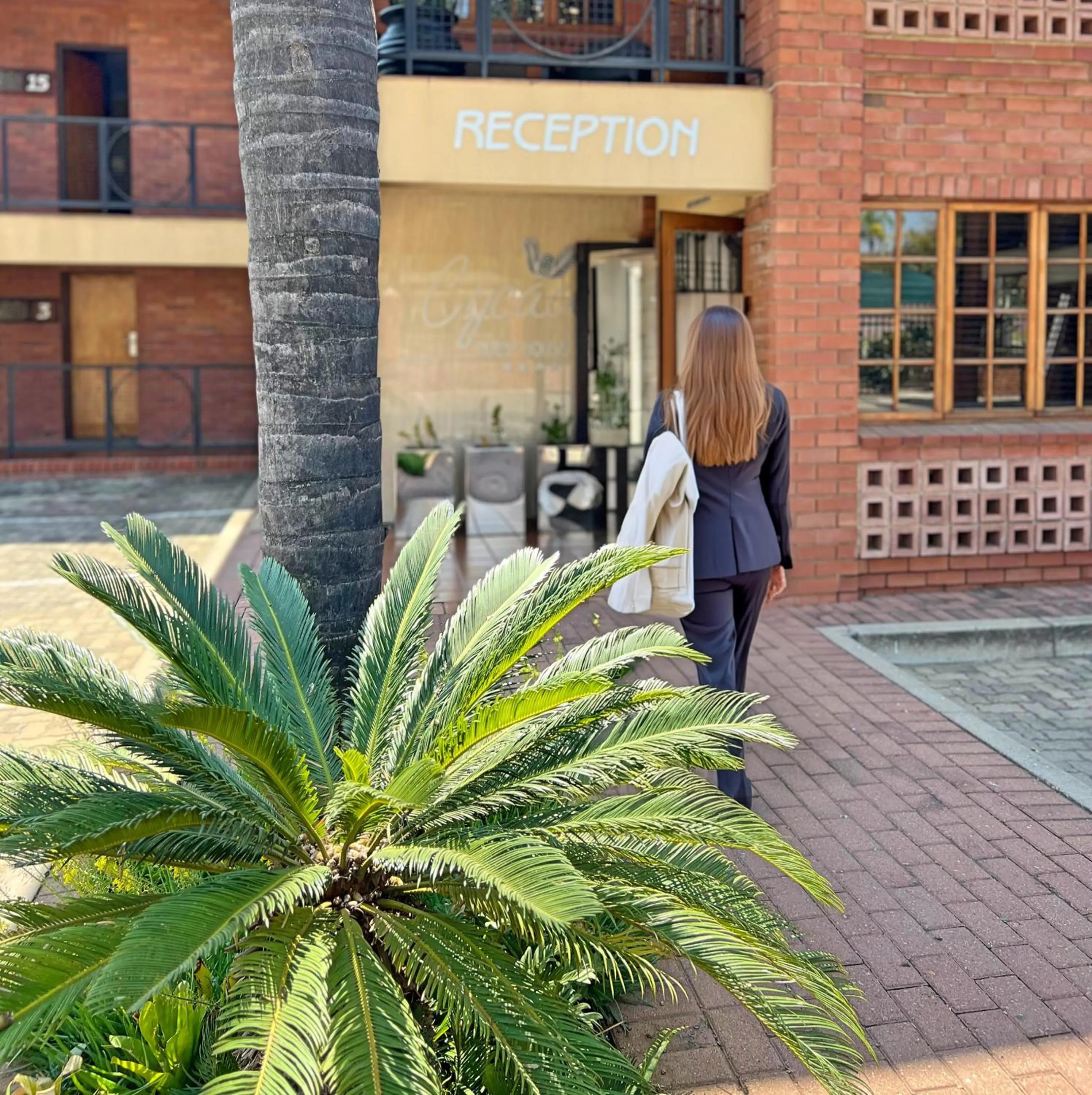 Property building in Cycad Guest House