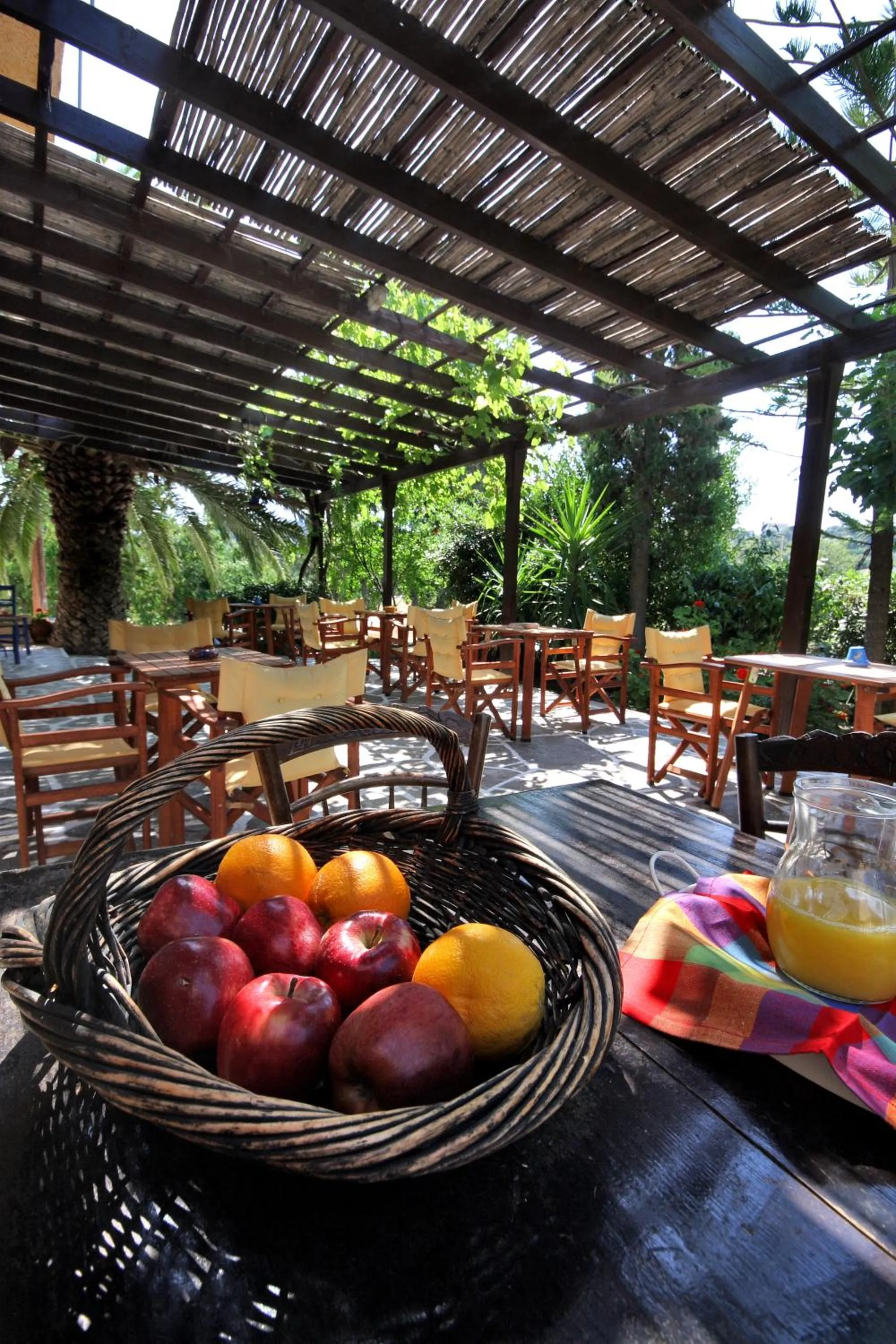 Garden in Vagia Traditional, Aegina Island