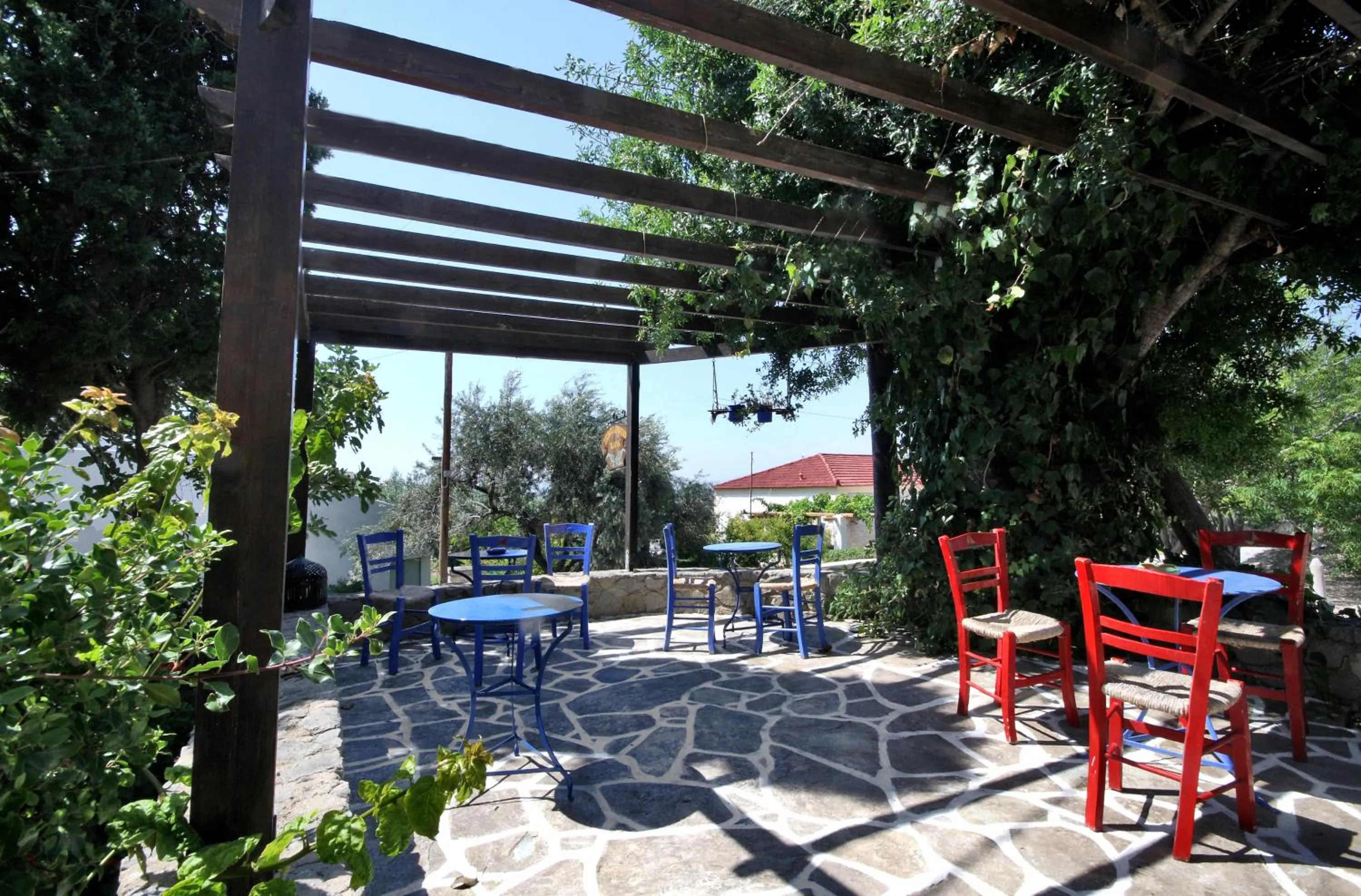 Garden in Vagia Traditional, Aegina Island