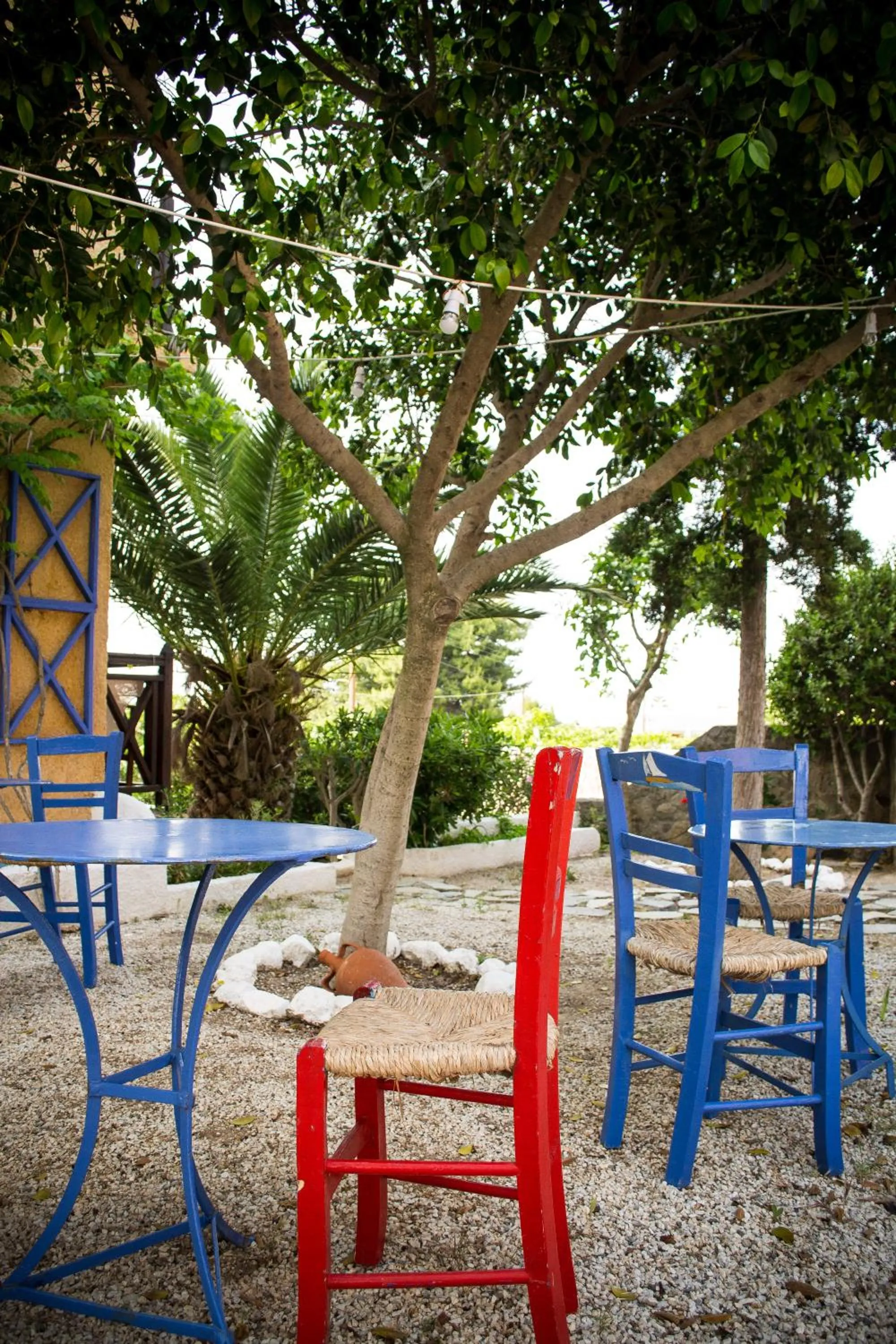Garden in Vagia Traditional, Aegina Island