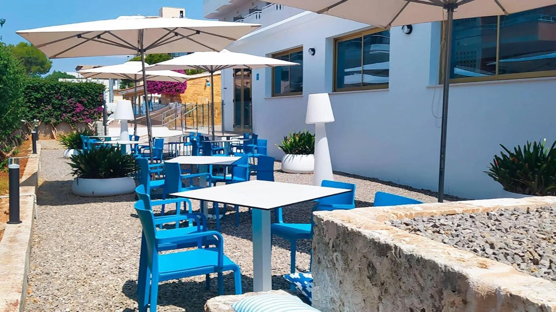 Restaurant/places to eat in BLUESEA Don Jaime