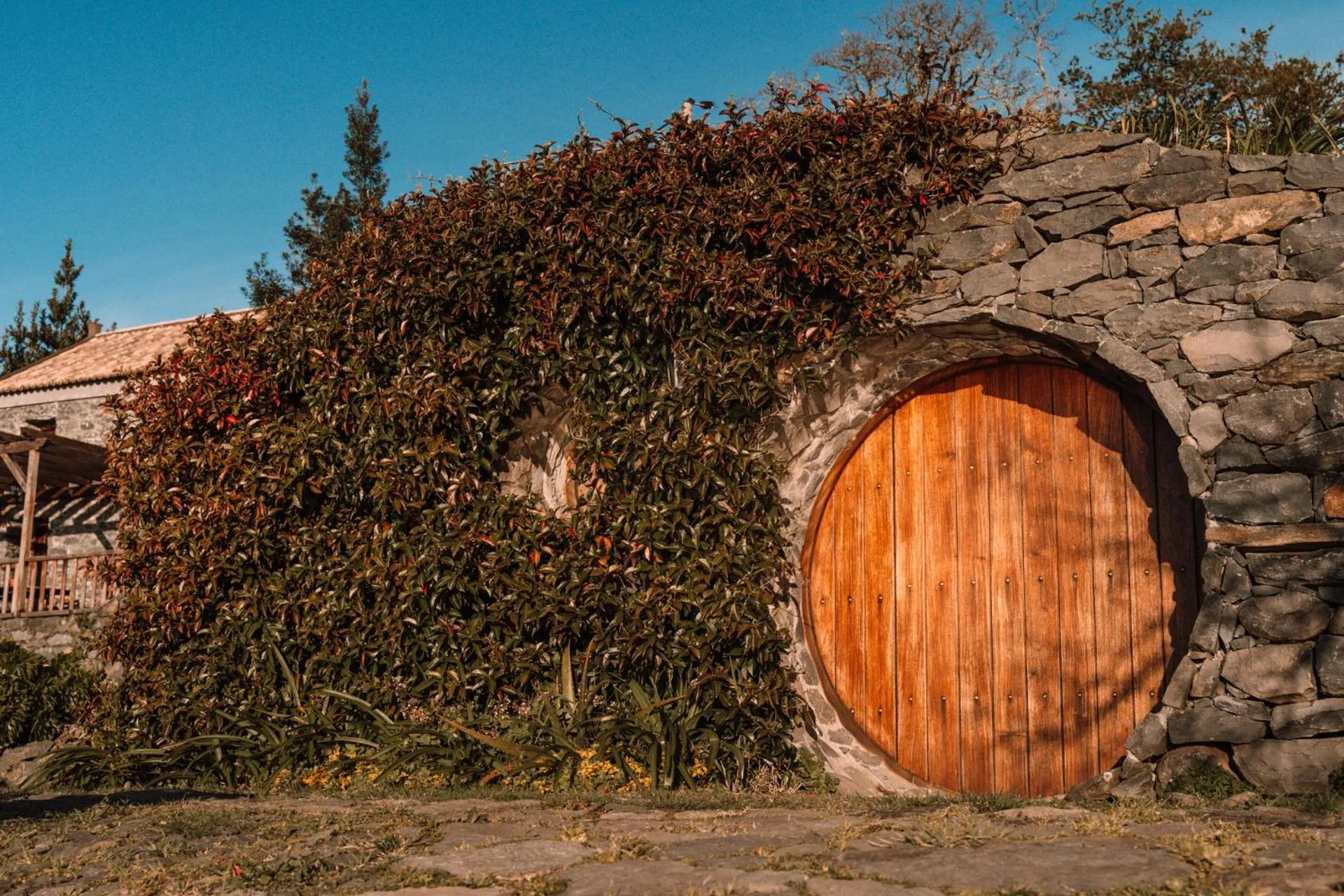 Lounge or bar in Casas da Levada