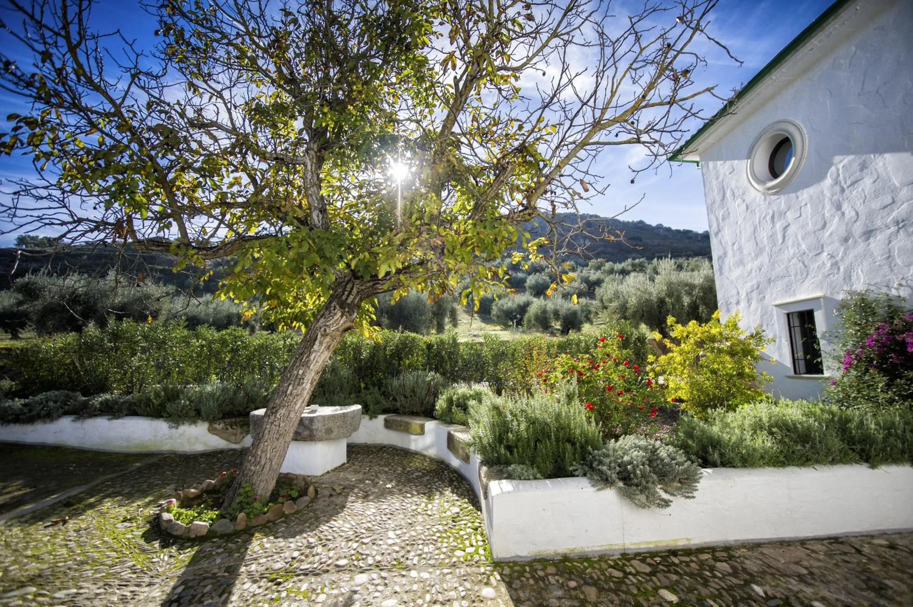 Facade/entrance in Casa Olea