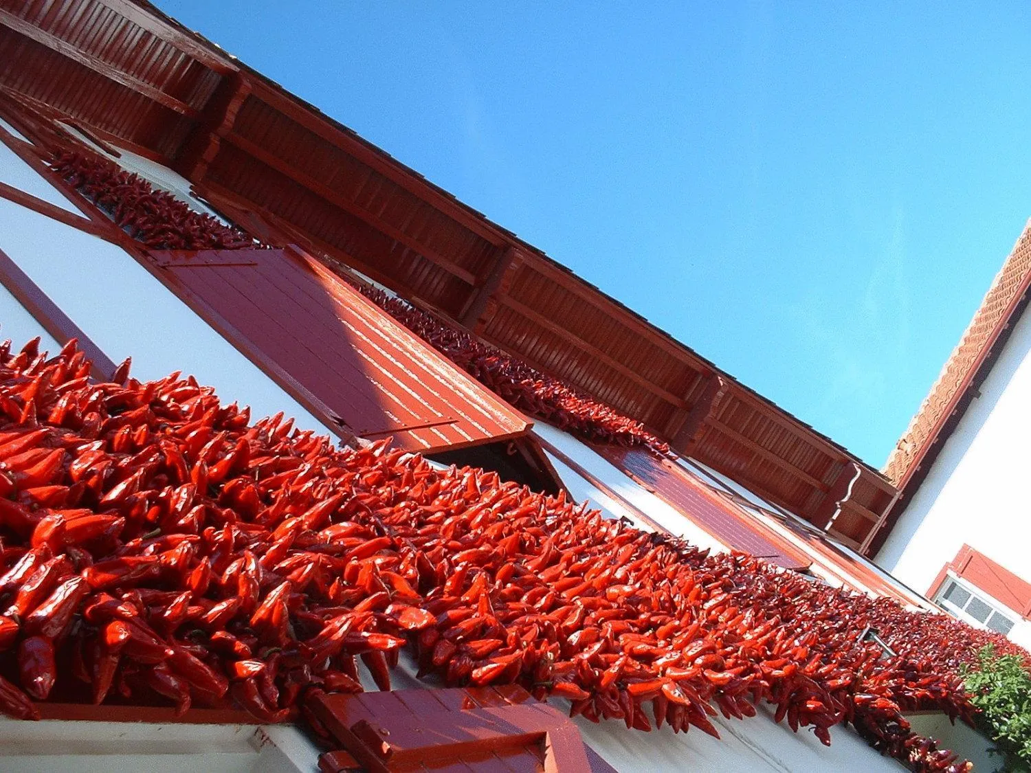 Area and facilities in Hôtel Résidence Bergara