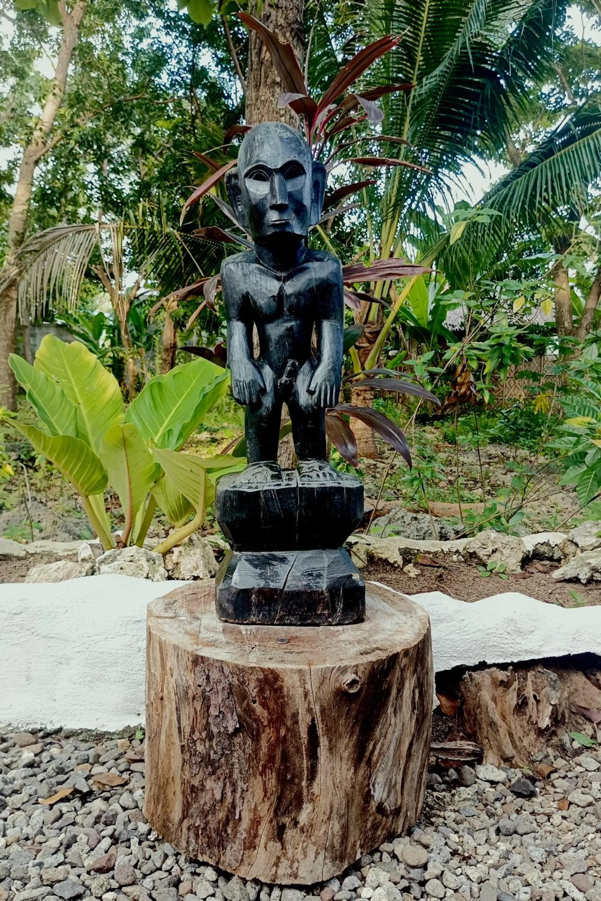 Garden in Alona Pawikan