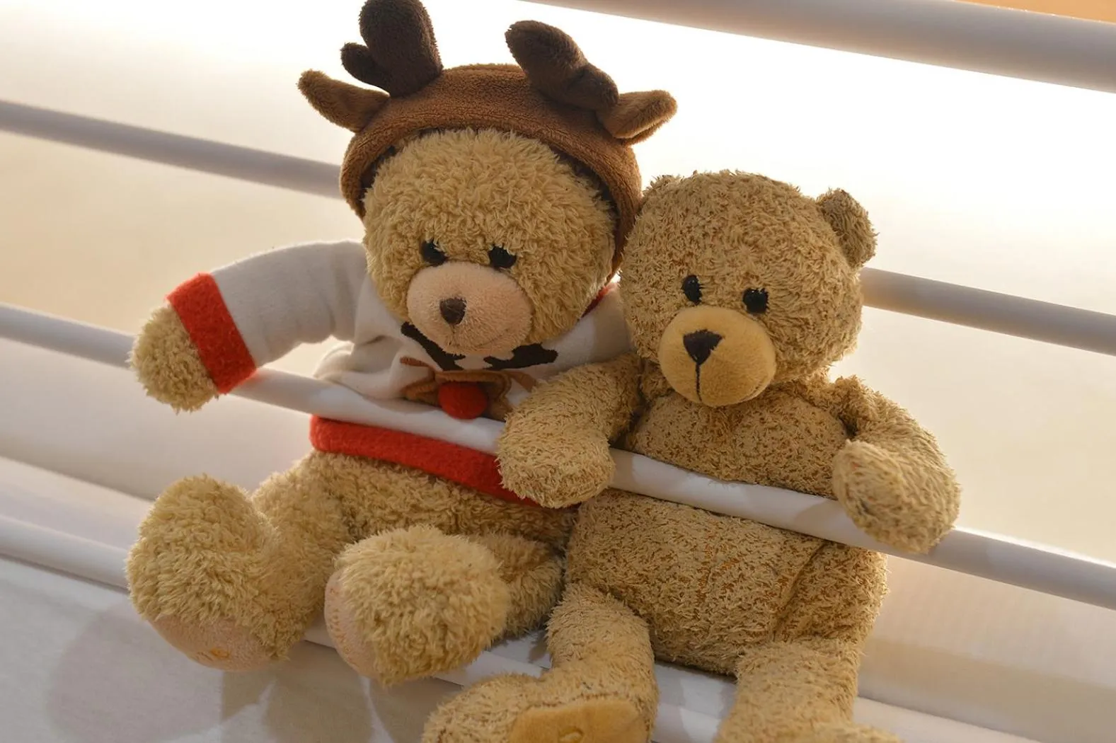 Photo of the whole room in Hotel Margherita