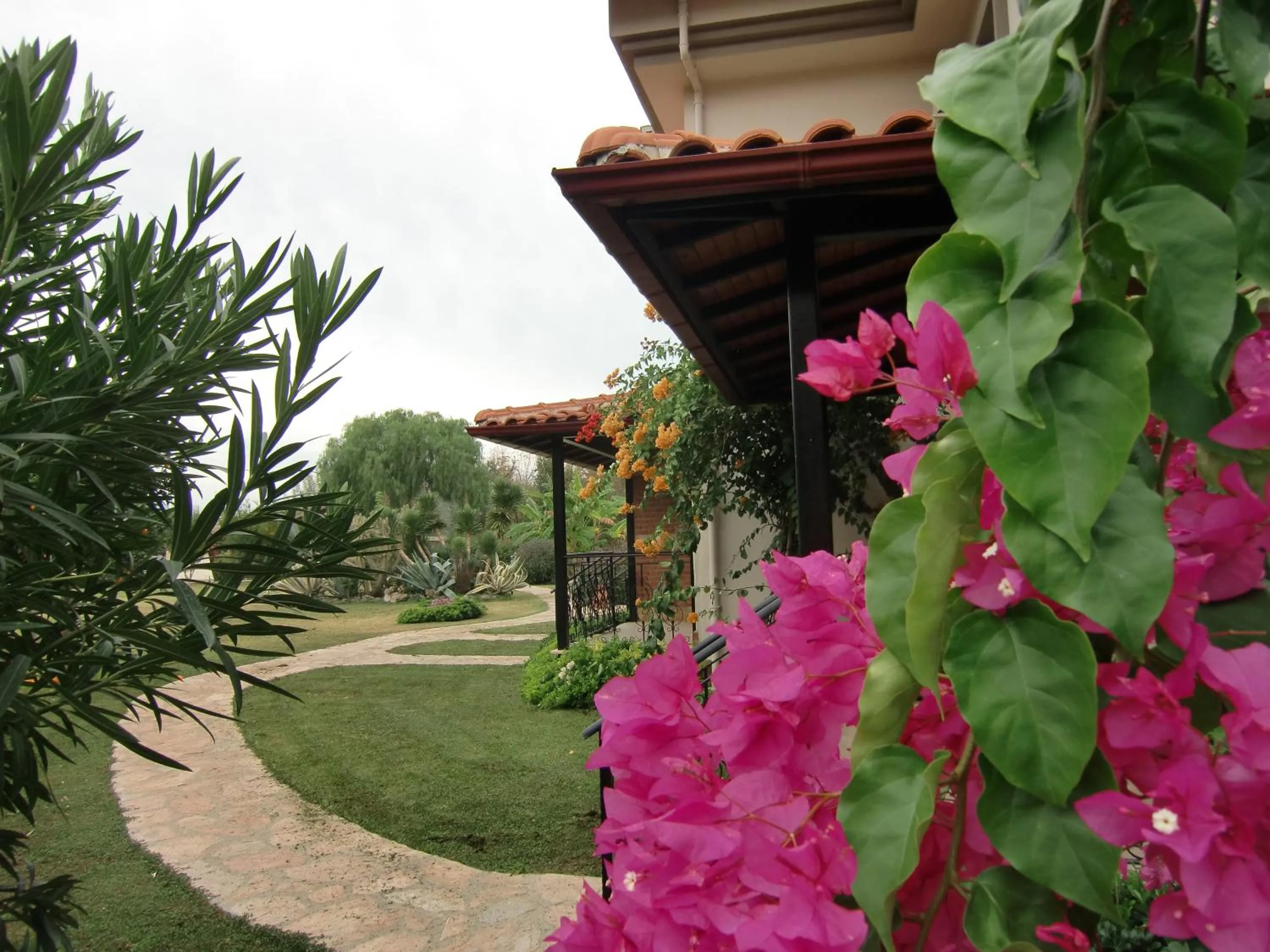 Garden view in Sedir Resort - Hotel Rooms, Bungalows & Suites