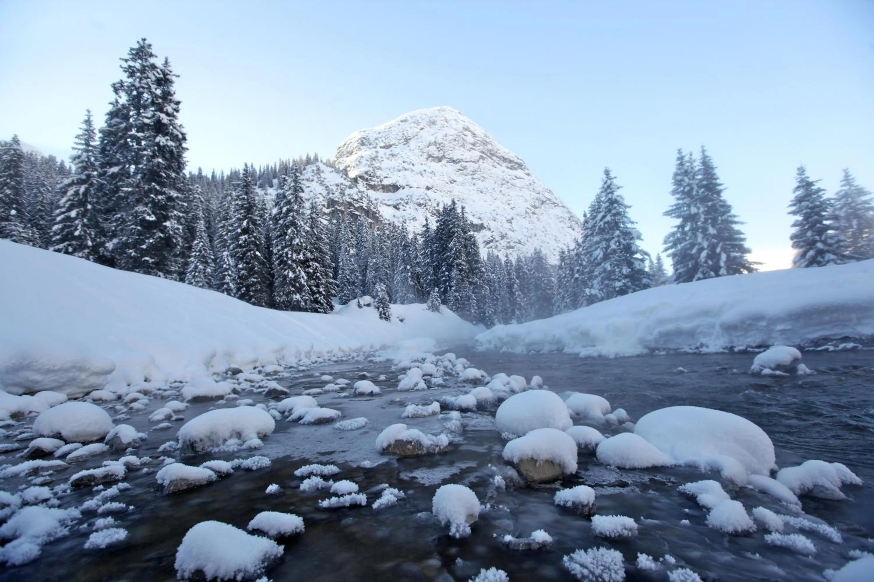 Area and facilities in Hotel Edelweiss