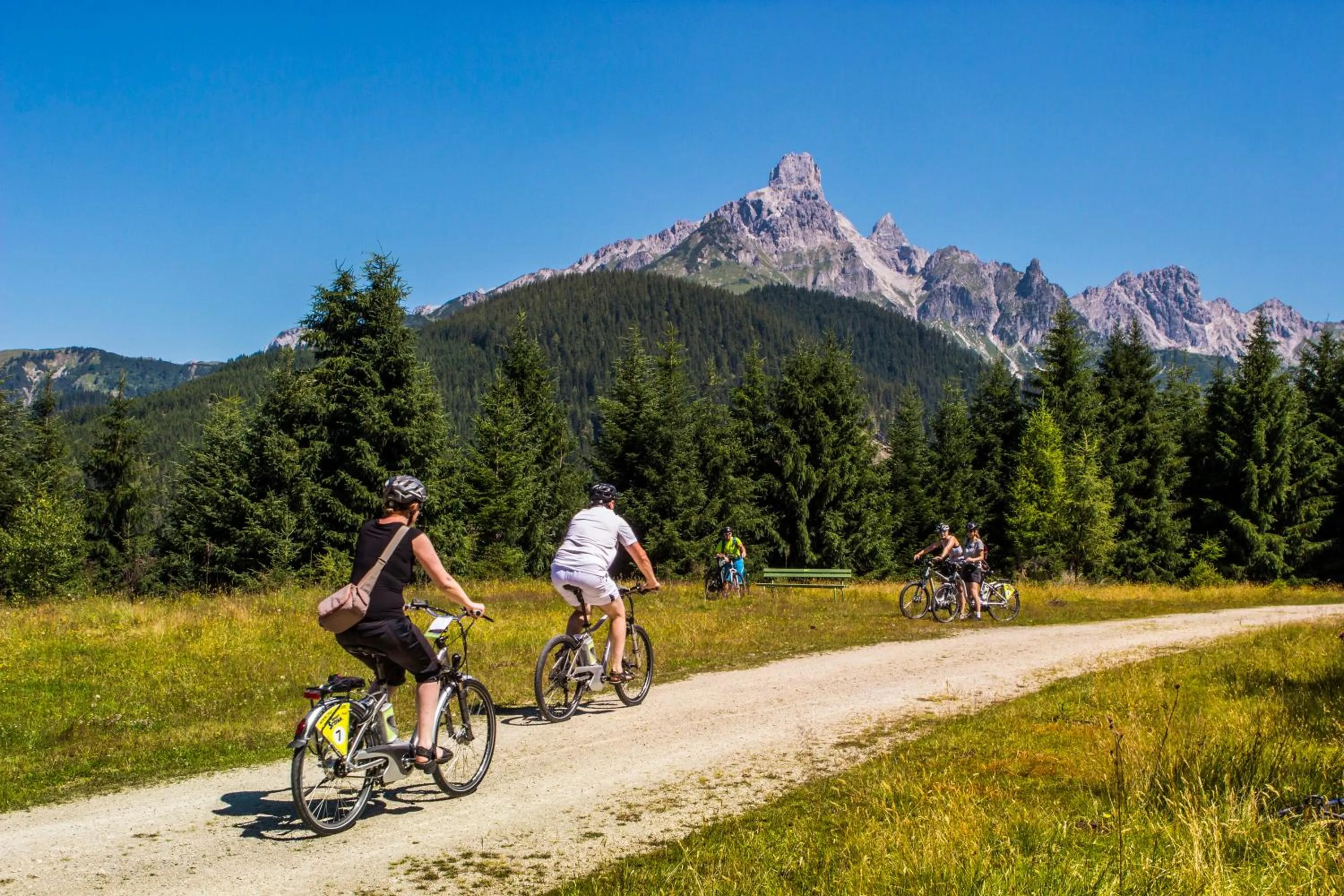 Natural landscape in Landhotel Alpenhof Filzmoos