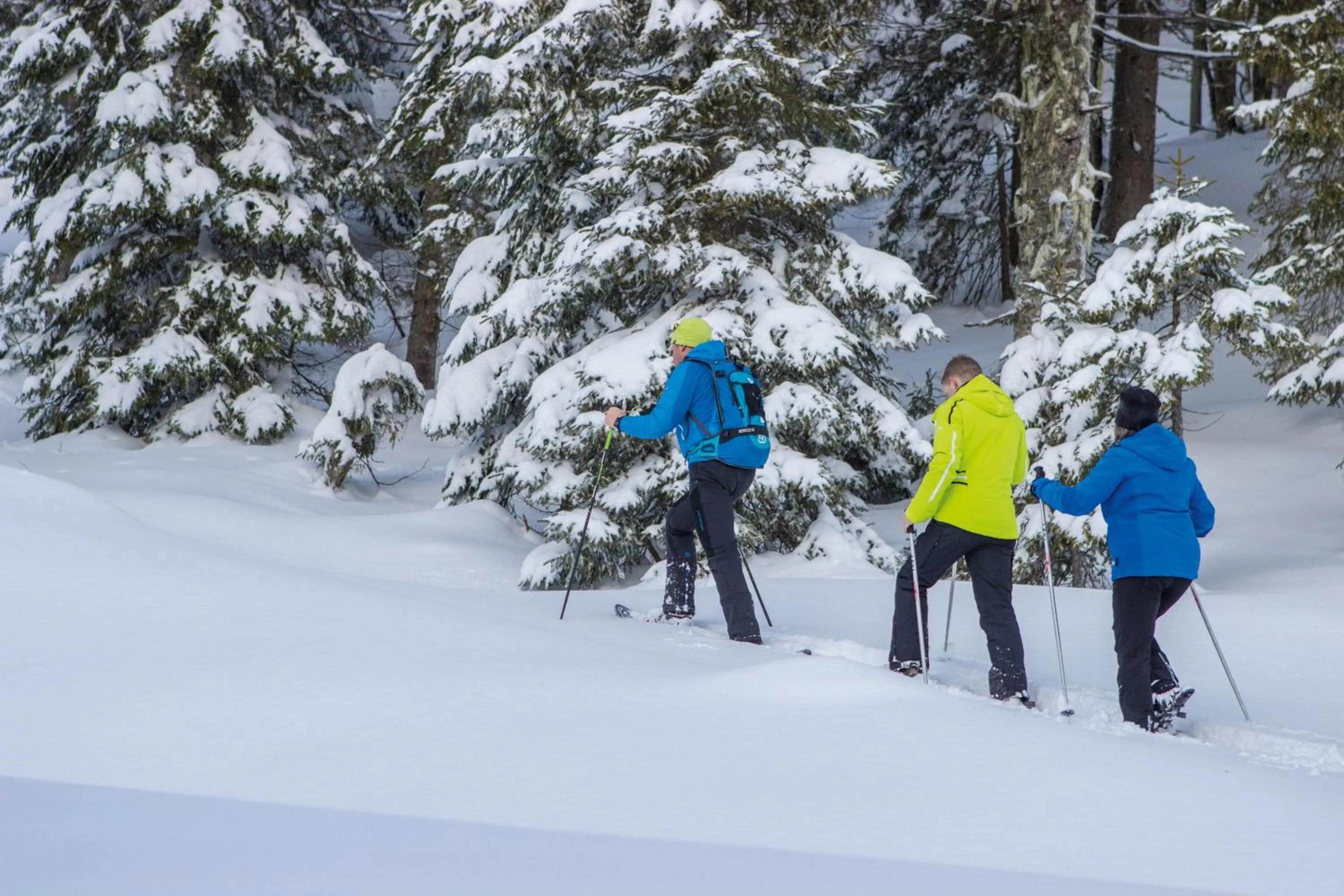 Winter in Landhotel Alpenhof Filzmoos