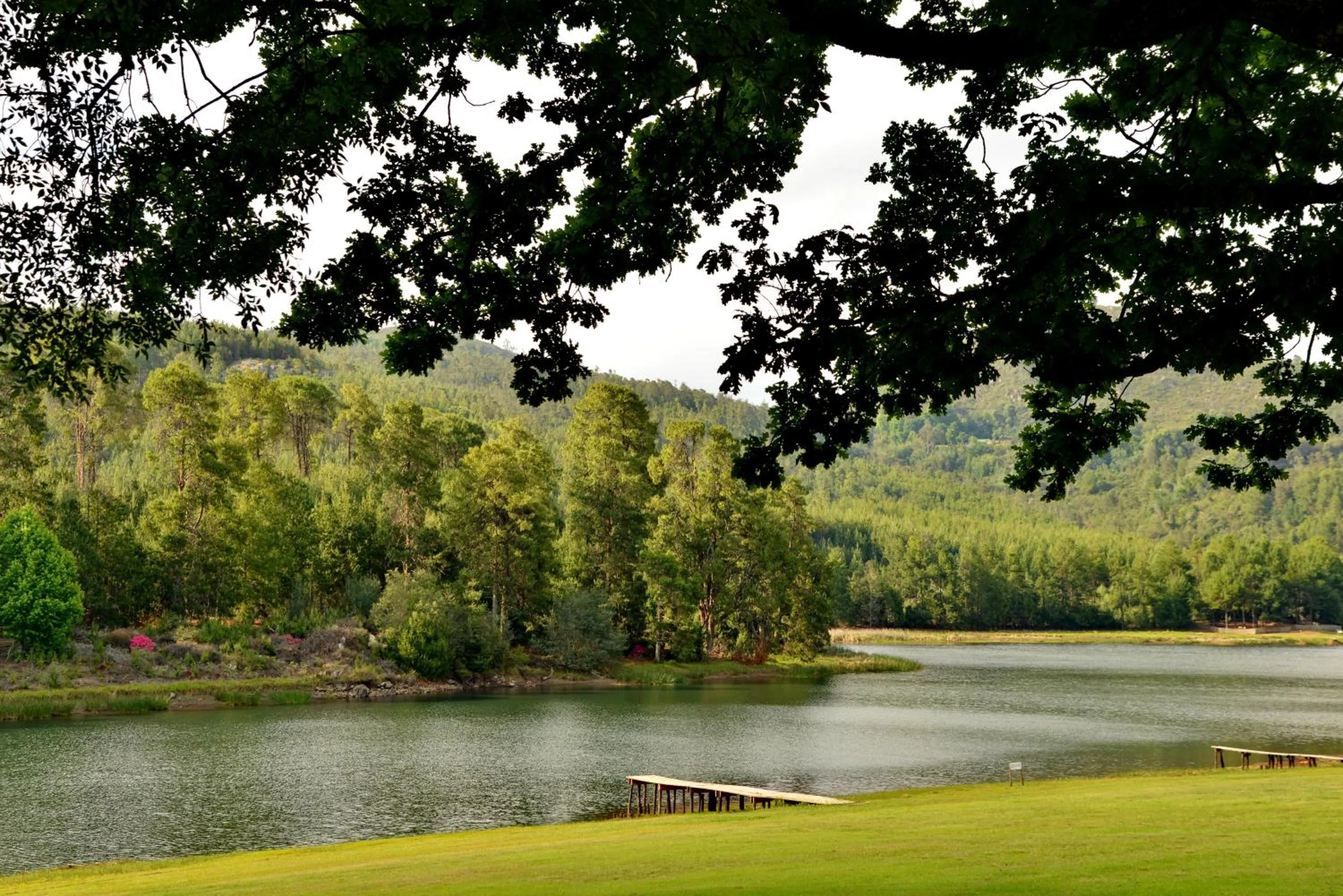 Lake view in Troutbeck Resort