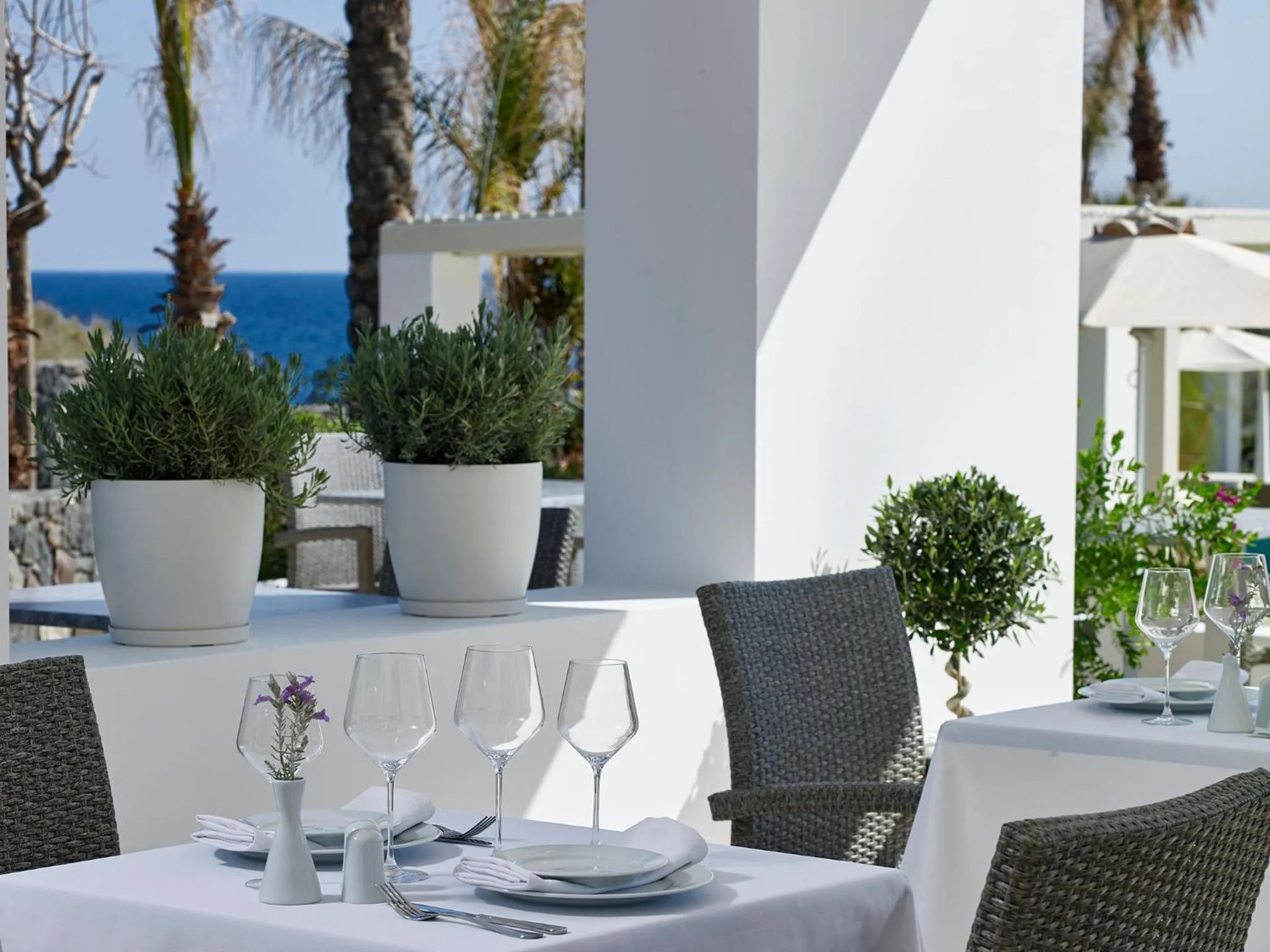 Restaurant/places to eat in Aurora Santorini