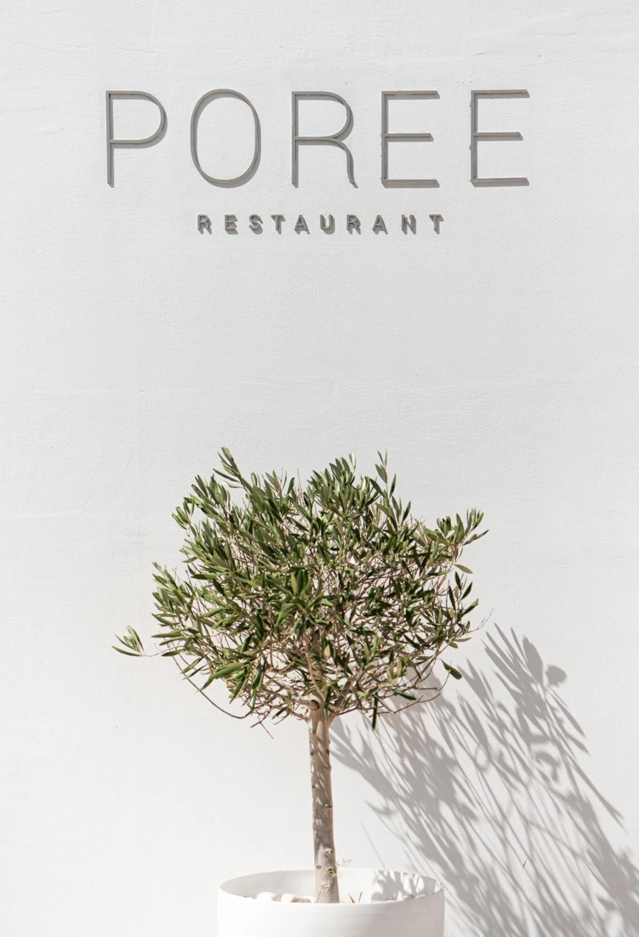 Restaurant/places to eat in Aurora Santorini