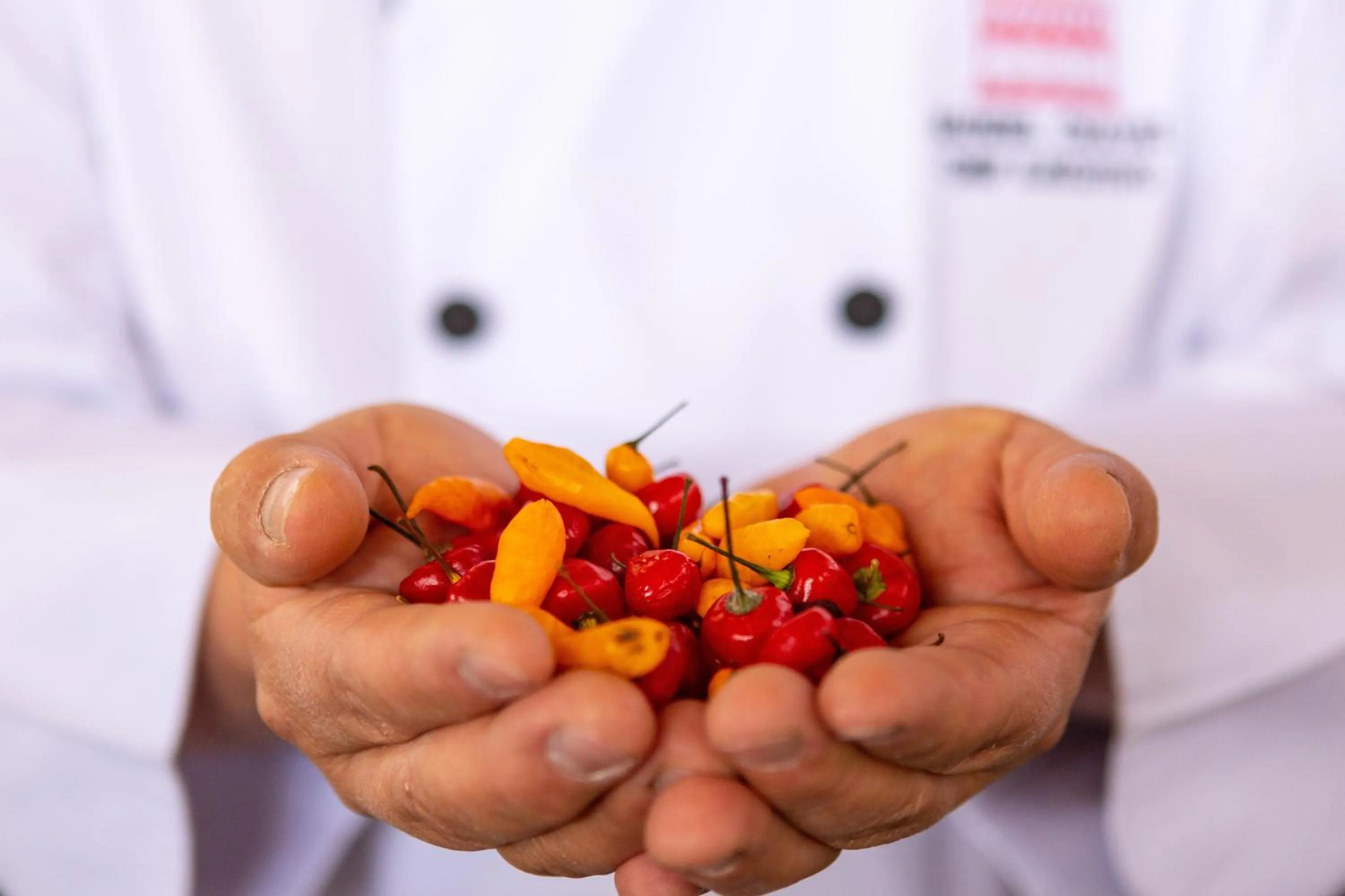 Restaurant/places to eat in Palacio del Inka, a Luxury Collection Hotel, Cusco