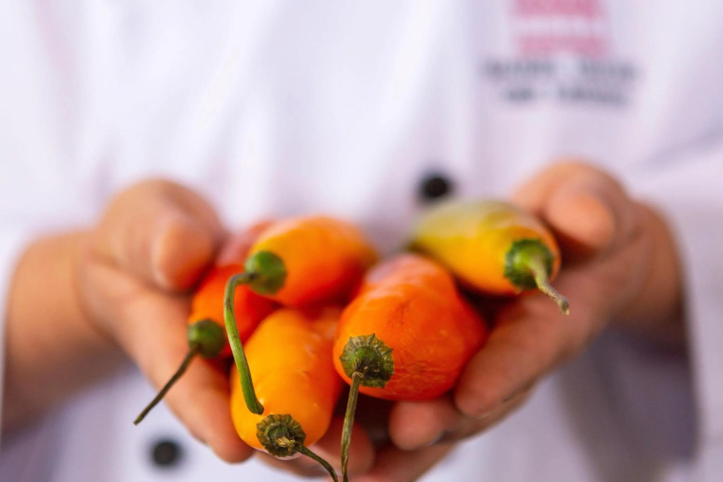 Other in Palacio del Inka, a Luxury Collection Hotel, Cusco