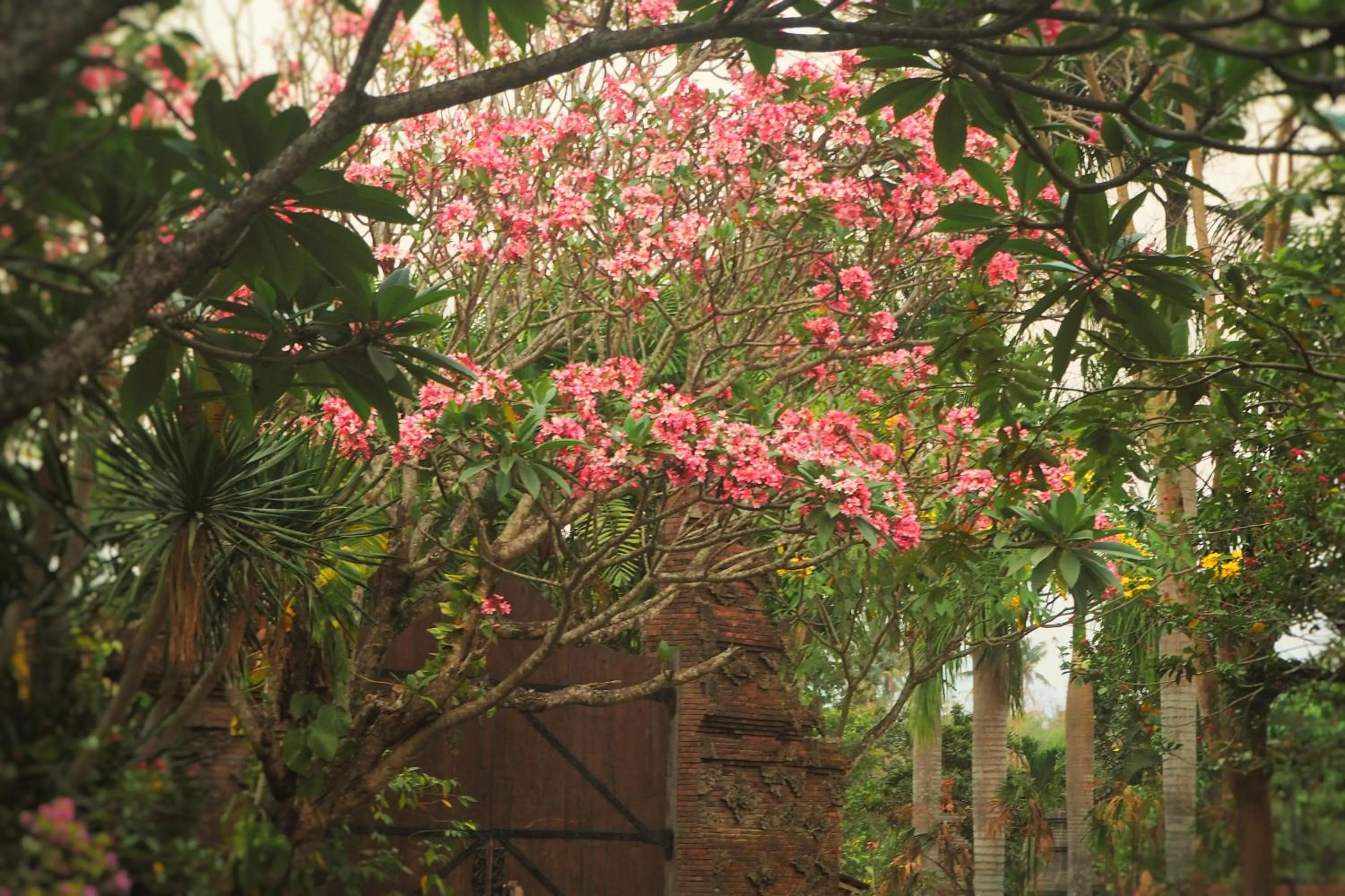 Seasons in The Gecho Inn Country