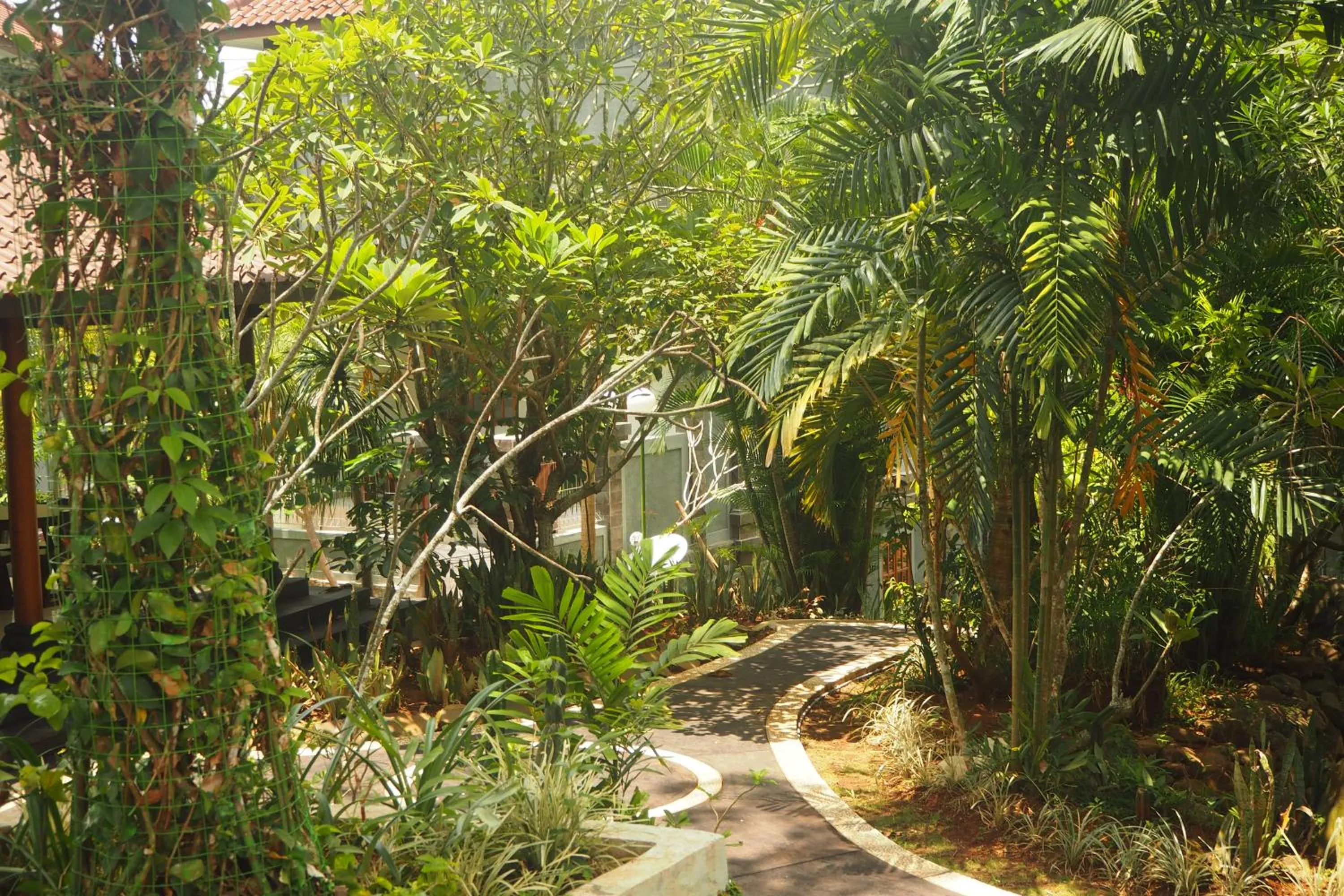 Garden view in The Gecho Inn Country