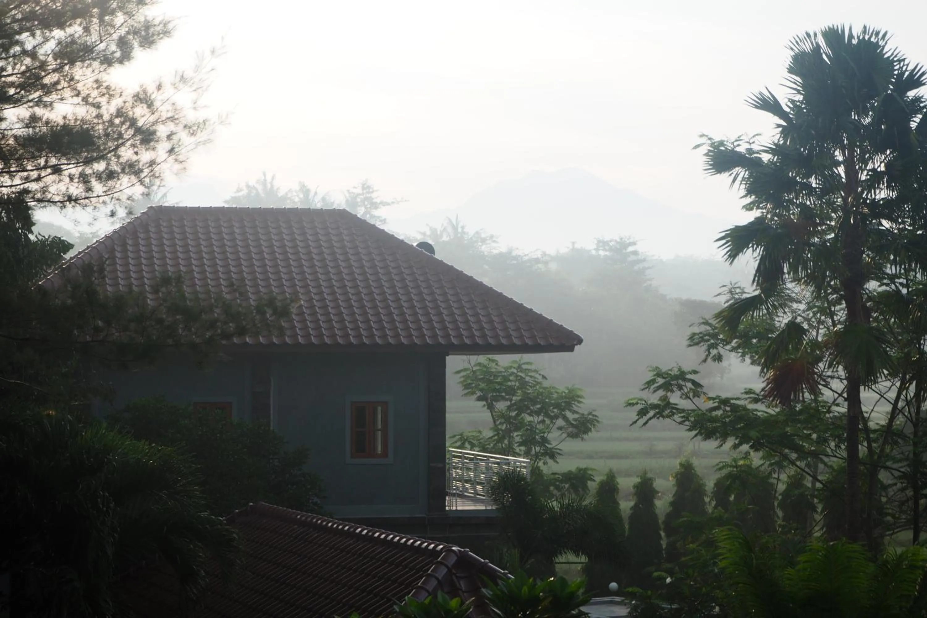 Garden view in The Gecho Inn Country