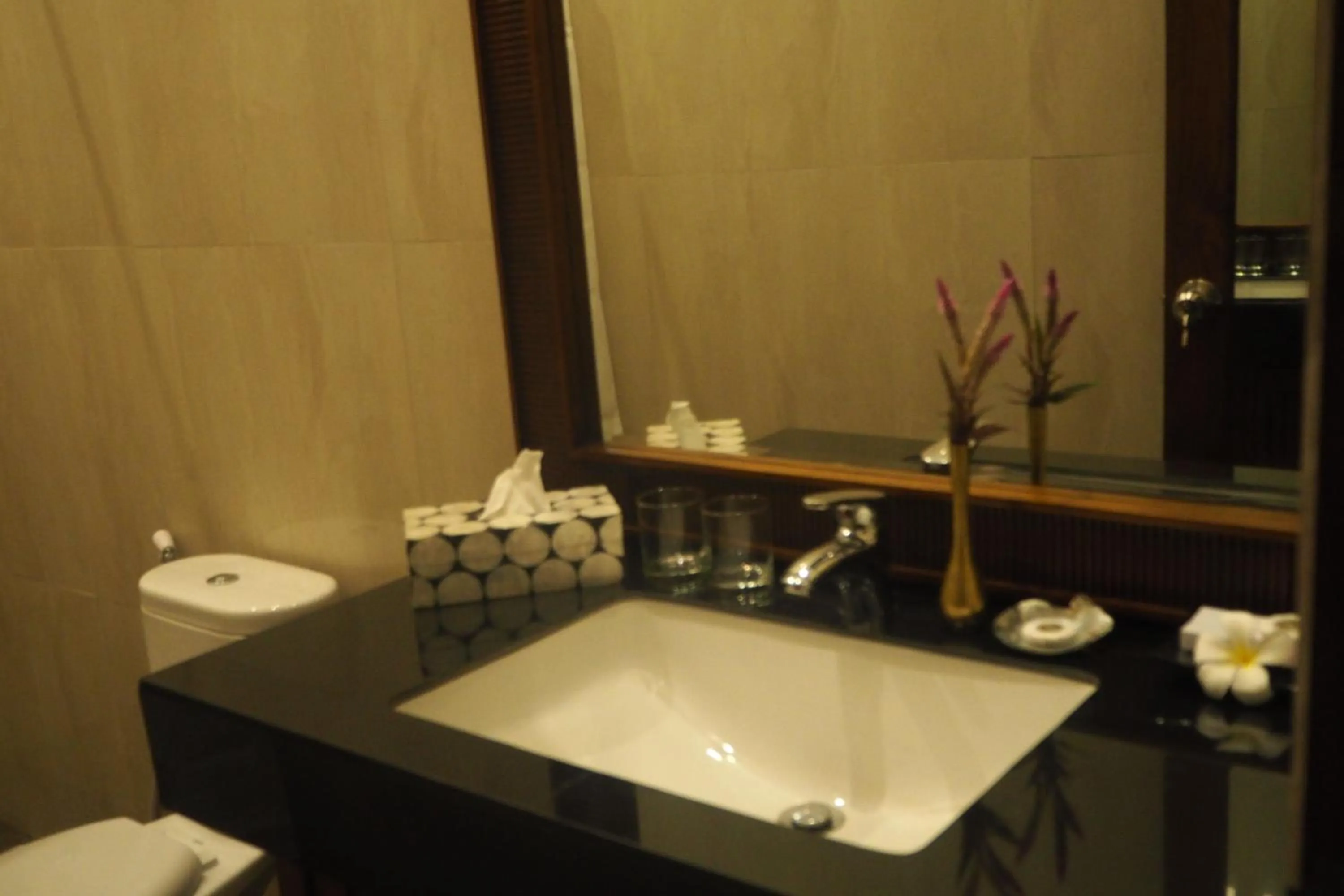 Bathroom in The Gecho Inn Country