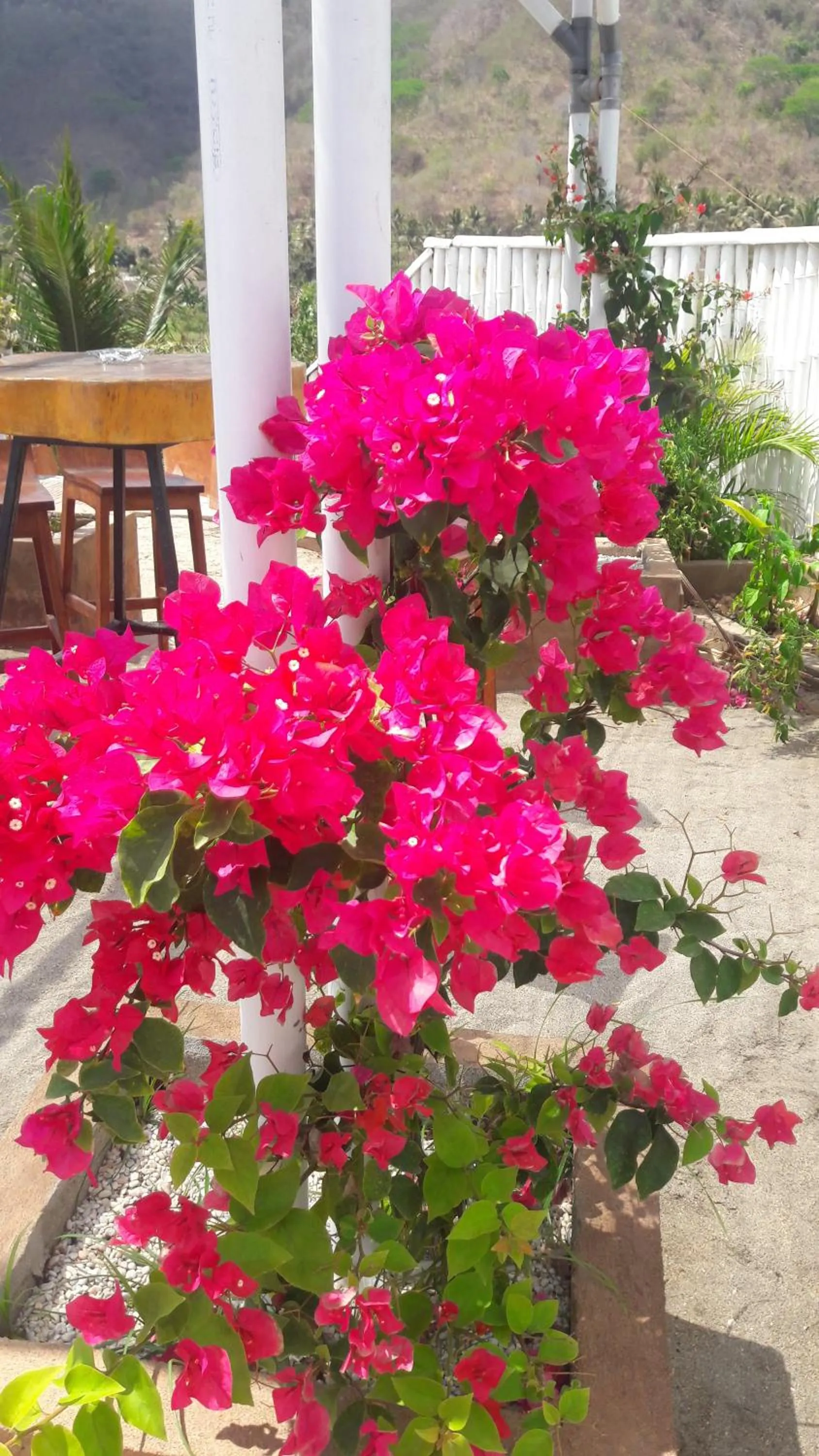 Silver Fern Beach Retreat