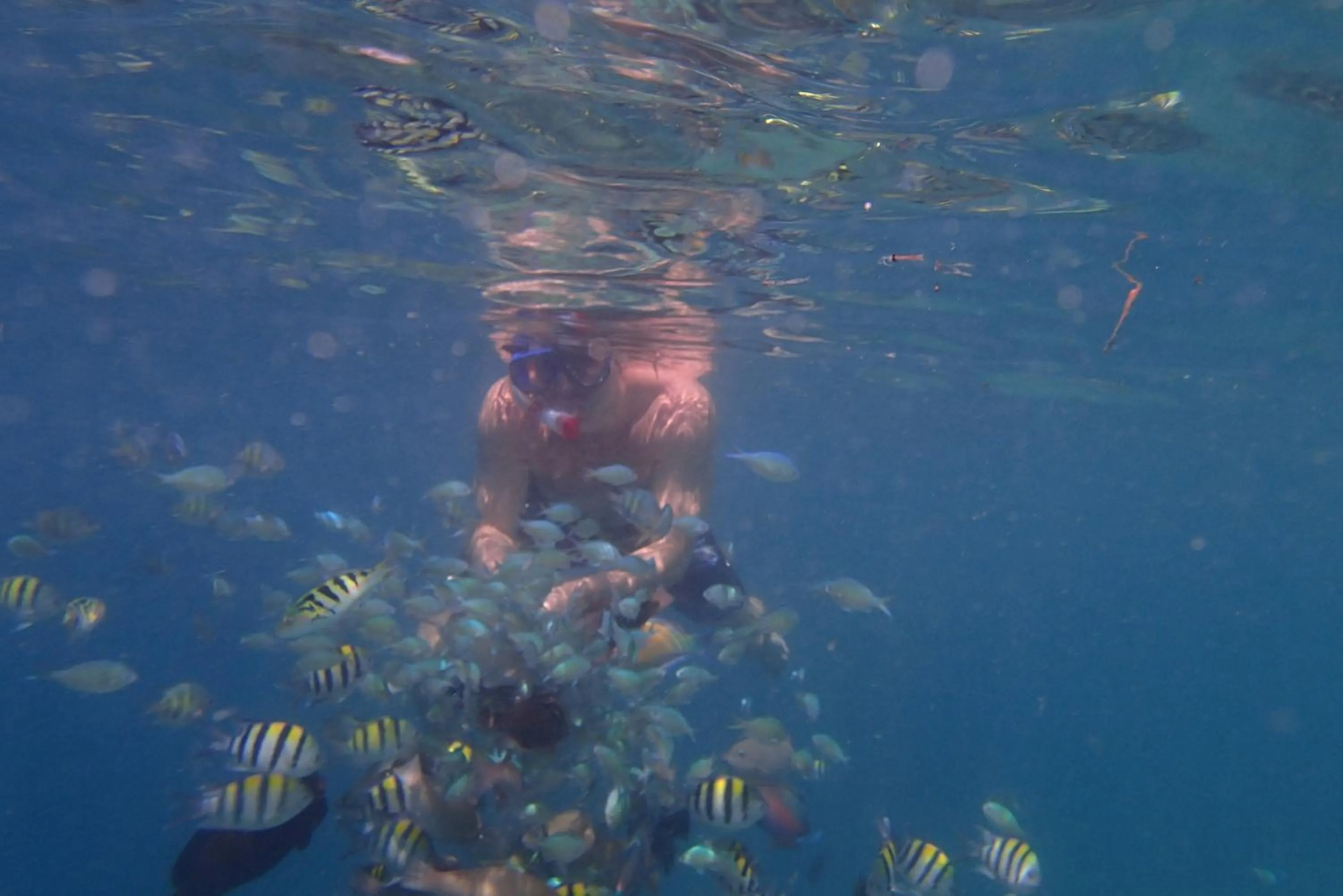 Fishing in Silver Fern Beach Retreat