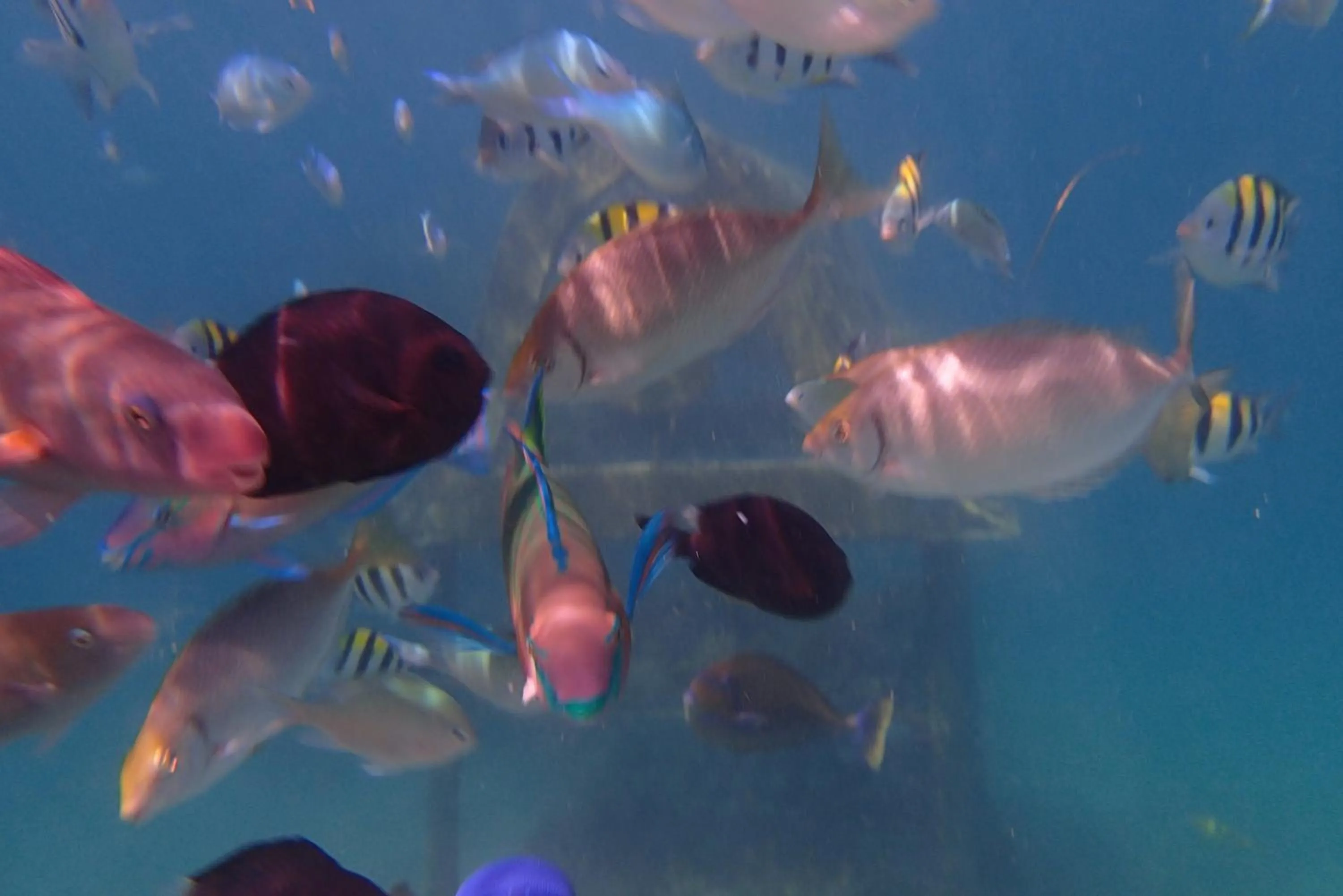 Fishing in Silver Fern Beach Retreat
