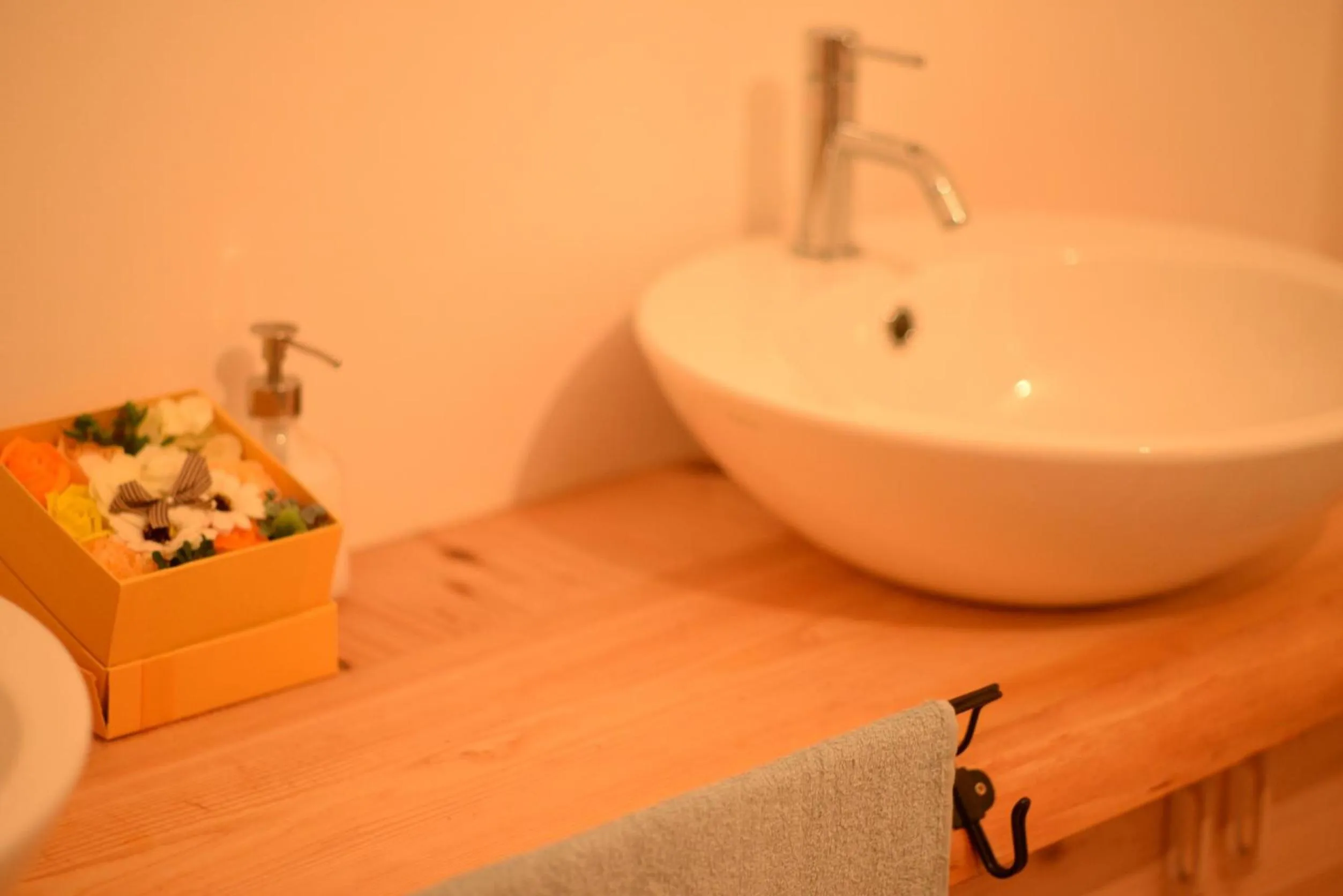 Spa and wellness centre/facilities in Hakone Guesthouse Toi