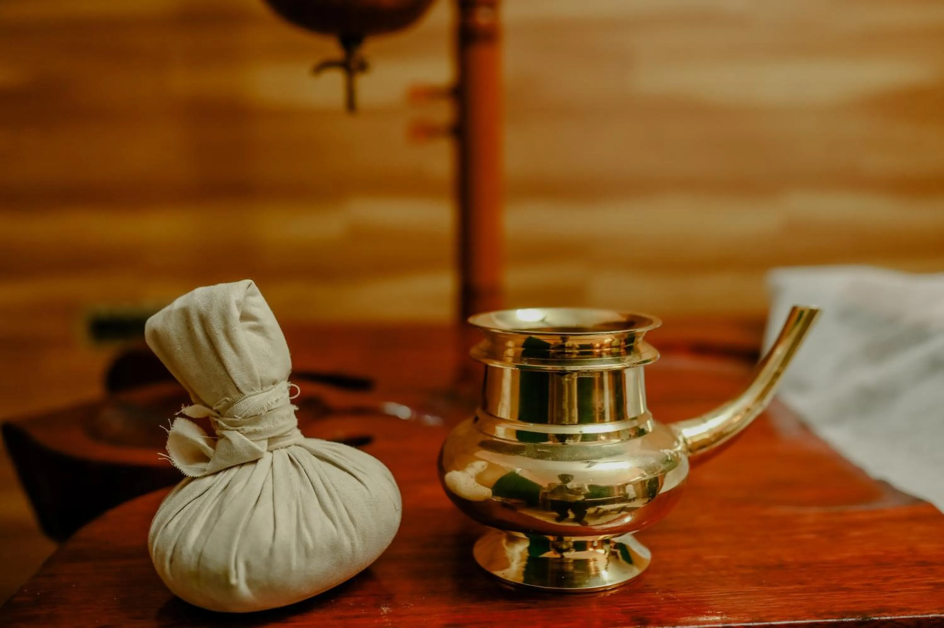 Ganesh Ayurveda Holiday Home