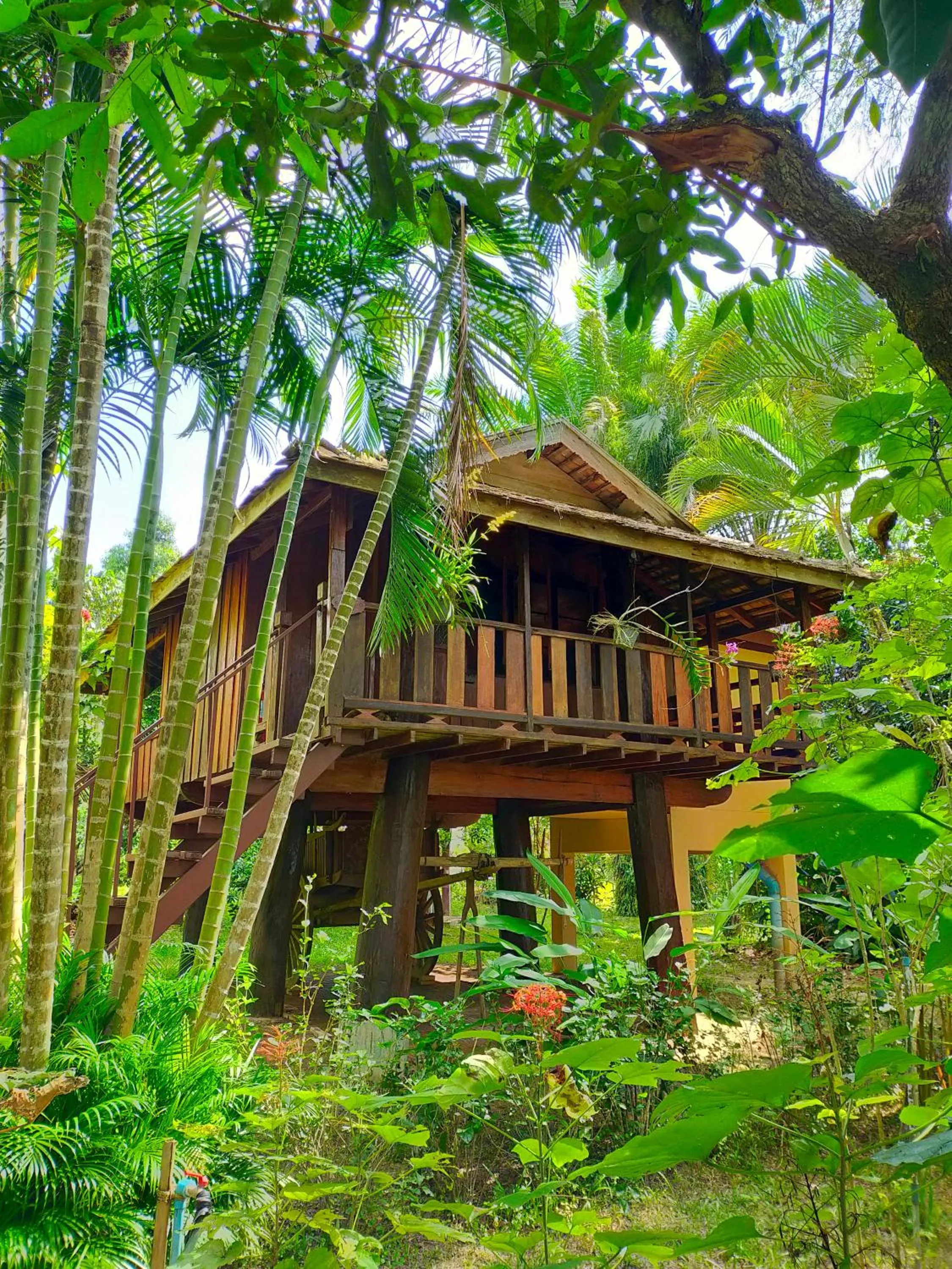 Property building in Khoom Kam Kaew