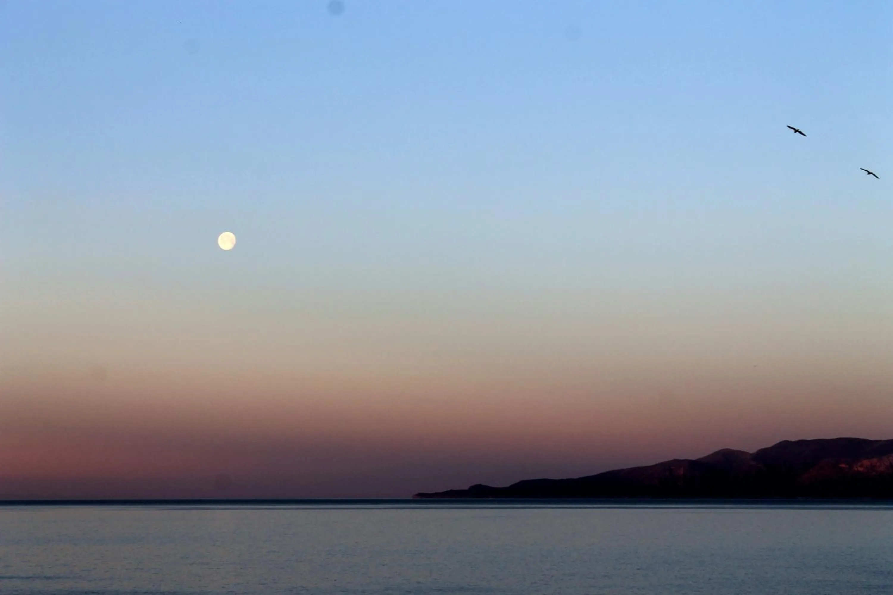 Property building in Il Vecchio e Il Mare Maratea