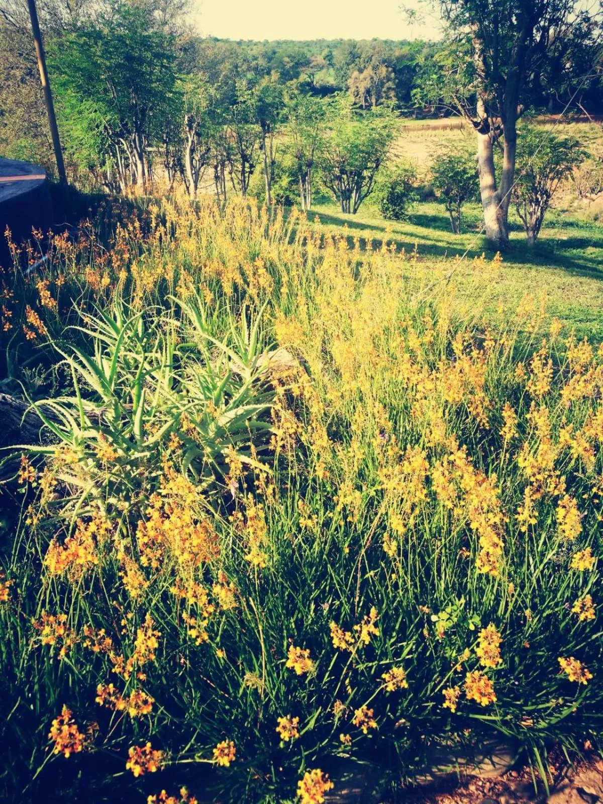 Garden in Three Bridges B&B