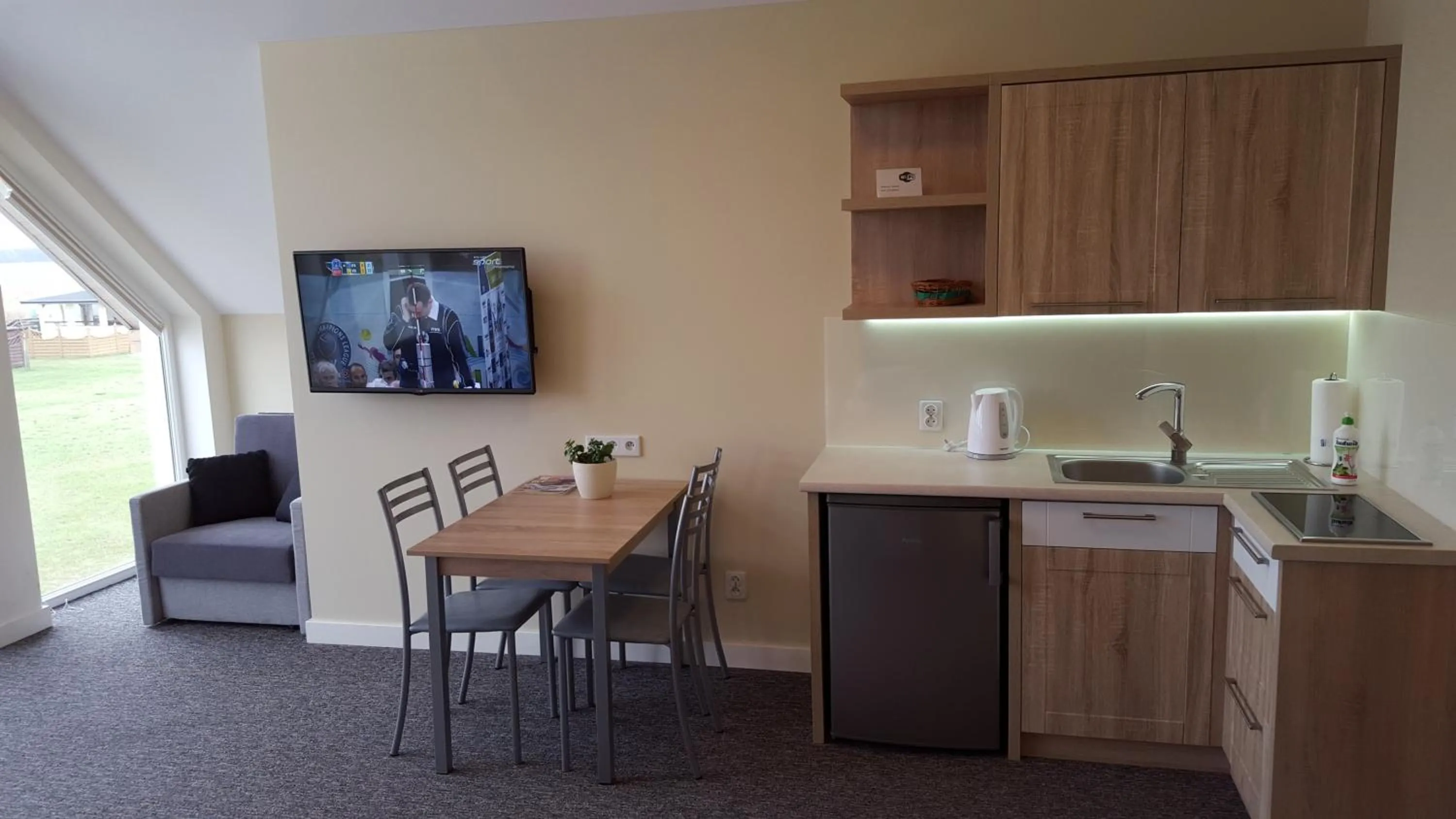 Photo of the whole room in Aparthotel EuforiaPort