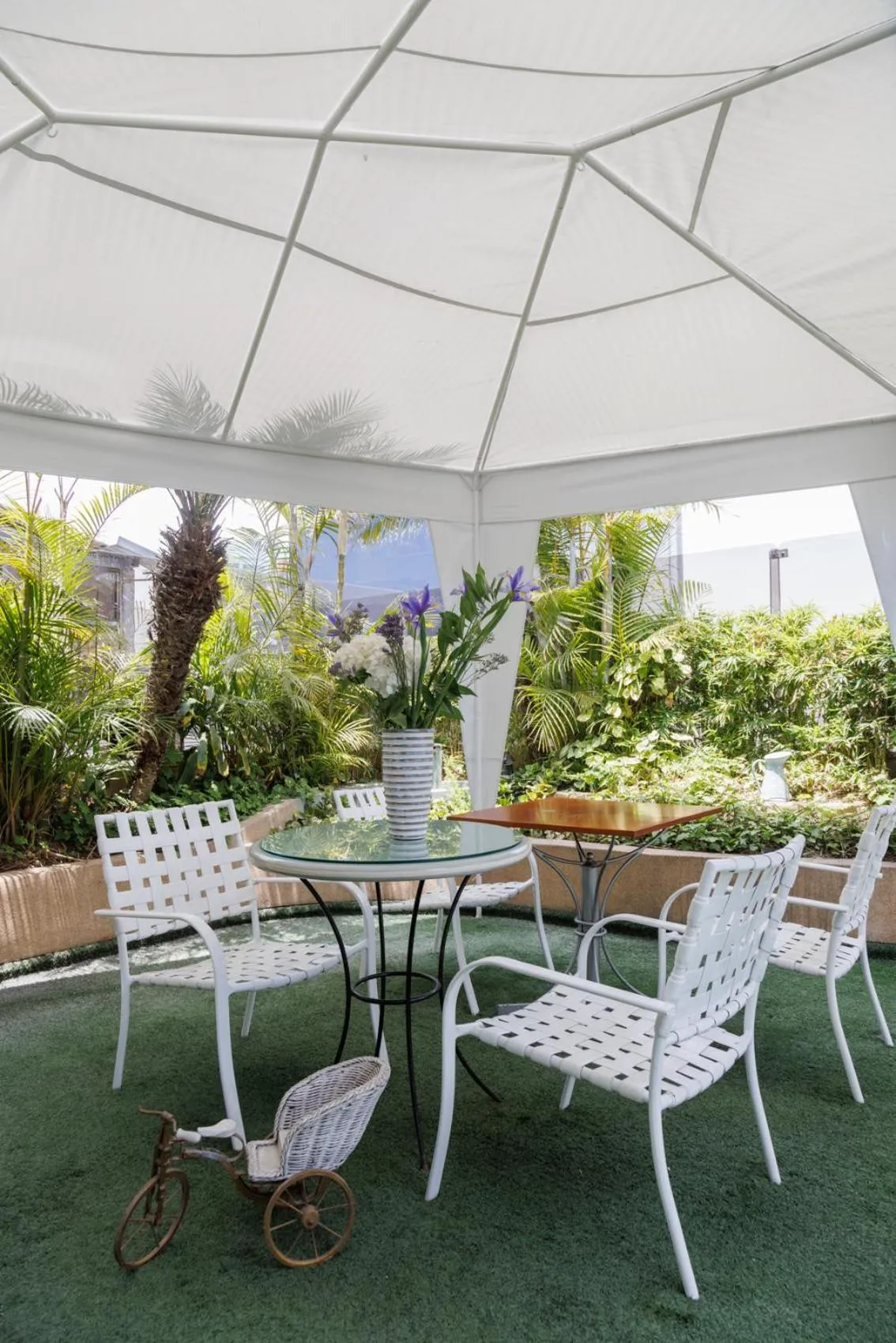 Balcony/Terrace in Daniel's Apart Hotel