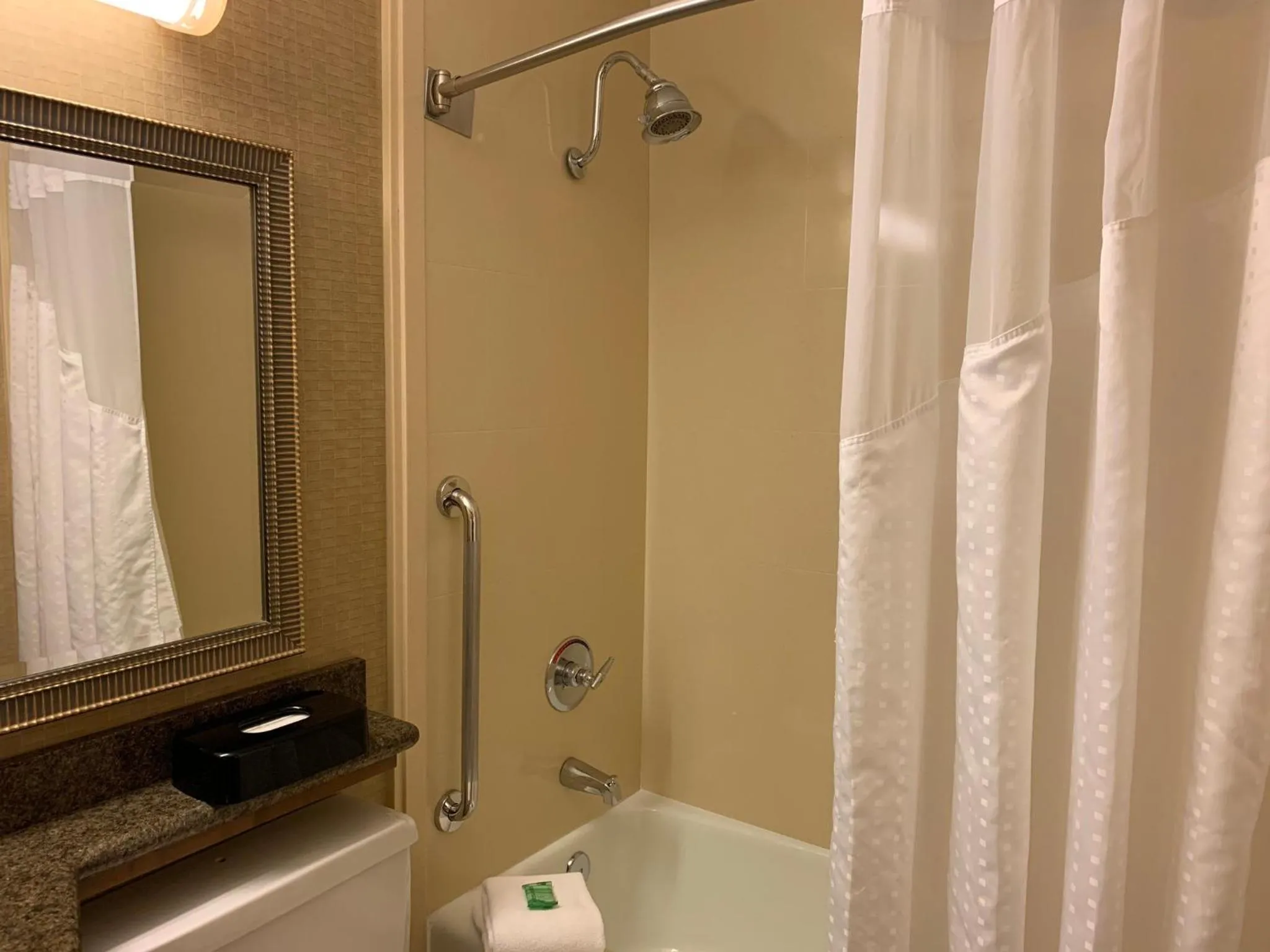 Bathroom in Holiday Inn Johnstown-Downtown by IHG