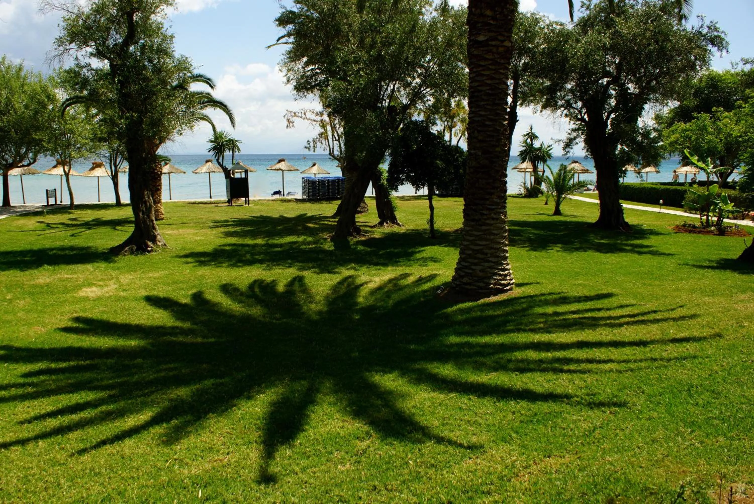 Garden in Delfinia Hotel