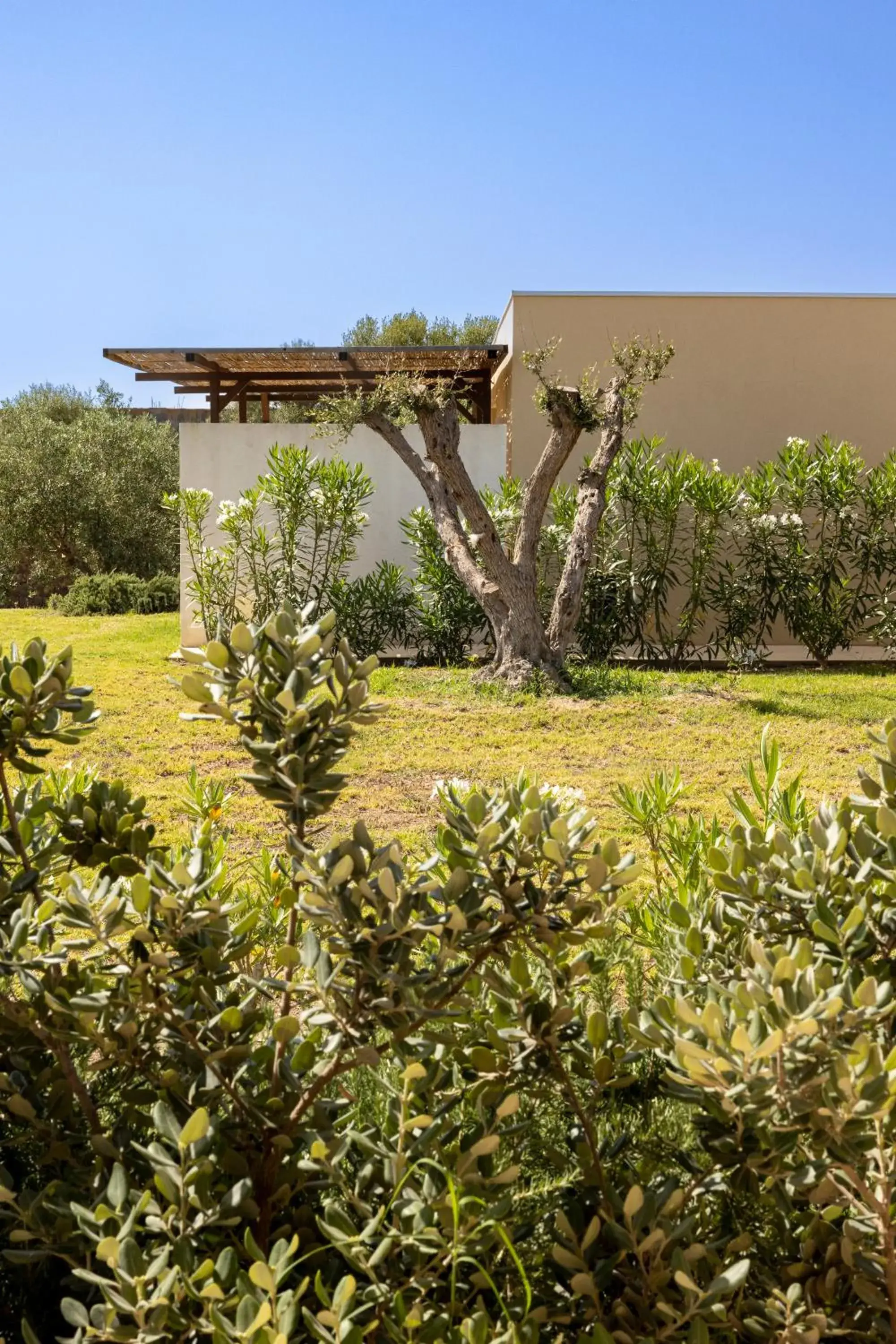 Superior Double Room in Agua Green Resort Superior Double Room in Agua Green Resort