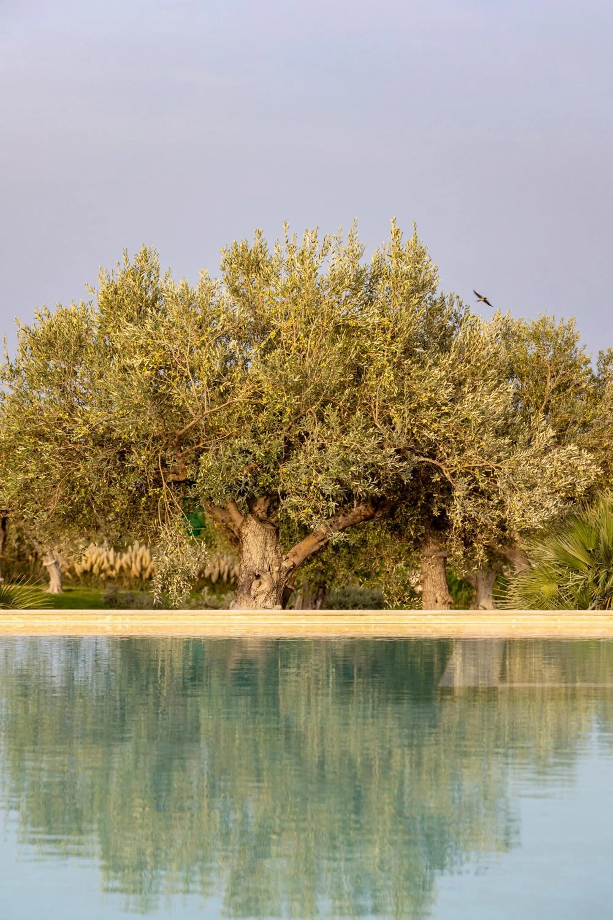 Swimming pool in Agua Green Resort