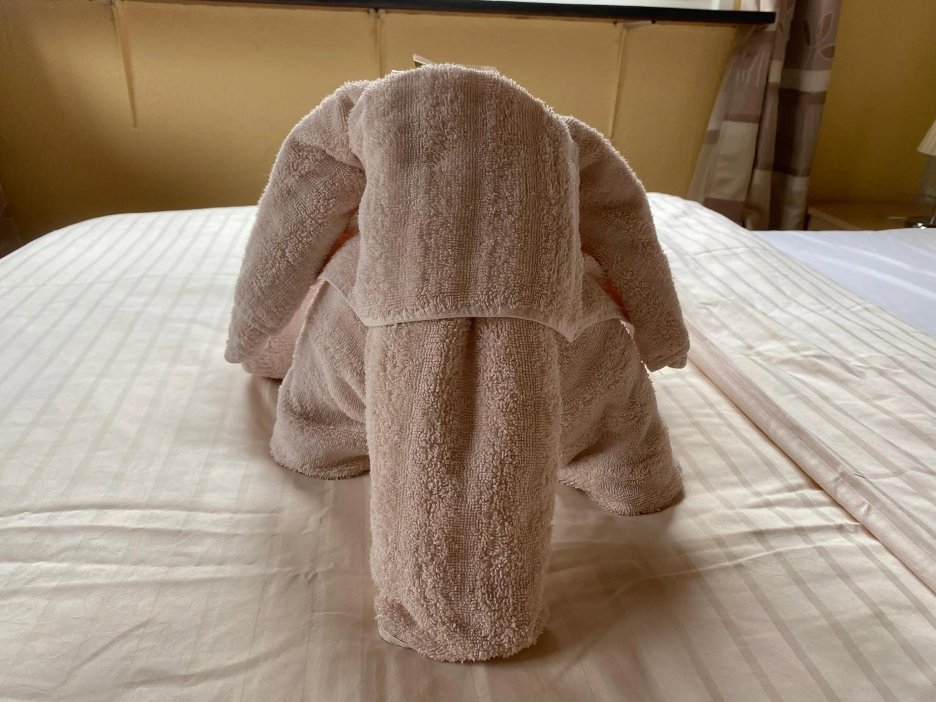 towels in Hotel Meereswoge