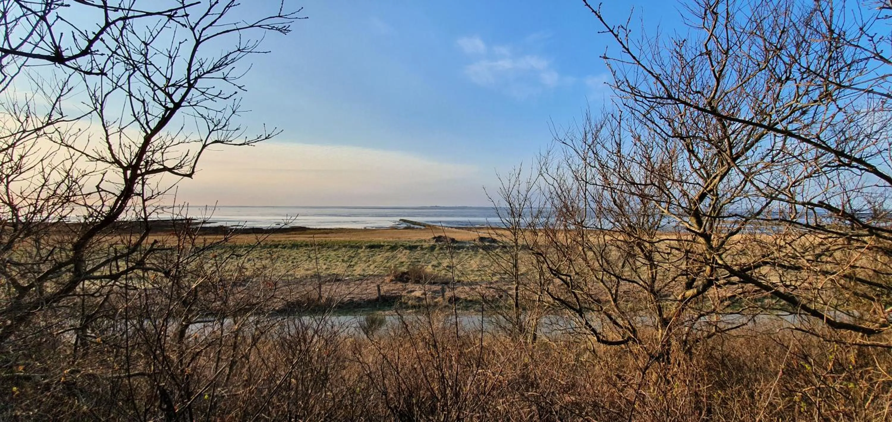 Area and facilities in Hotel Meereswoge