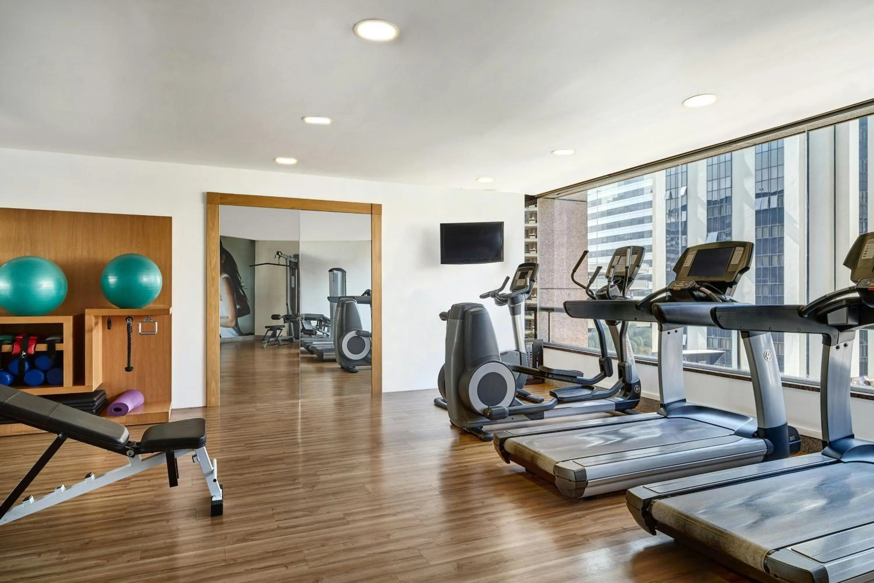 Fitness centre/facilities in Sheraton São Paulo WTC Hotel