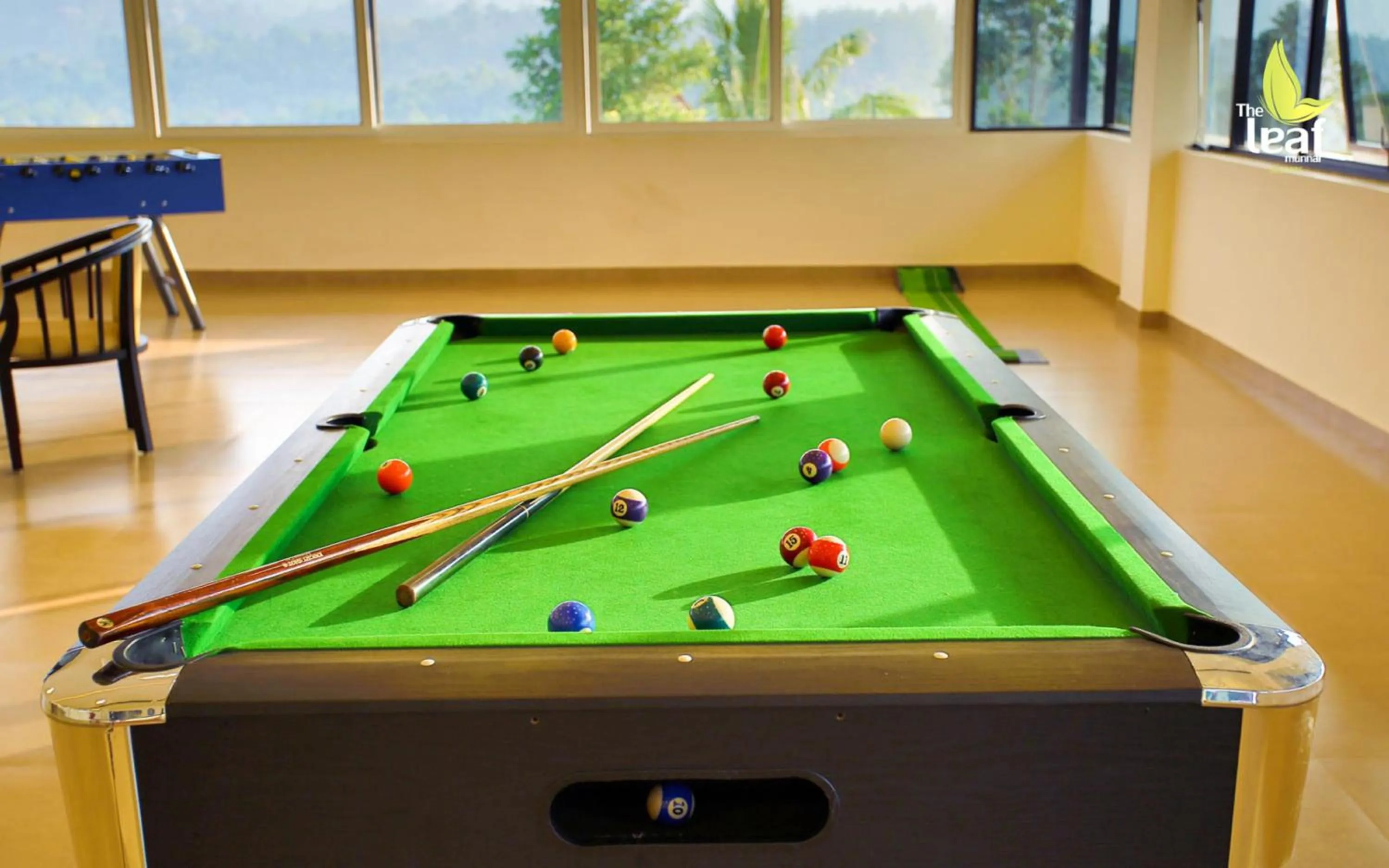 Billiard in The Leaf Munnar