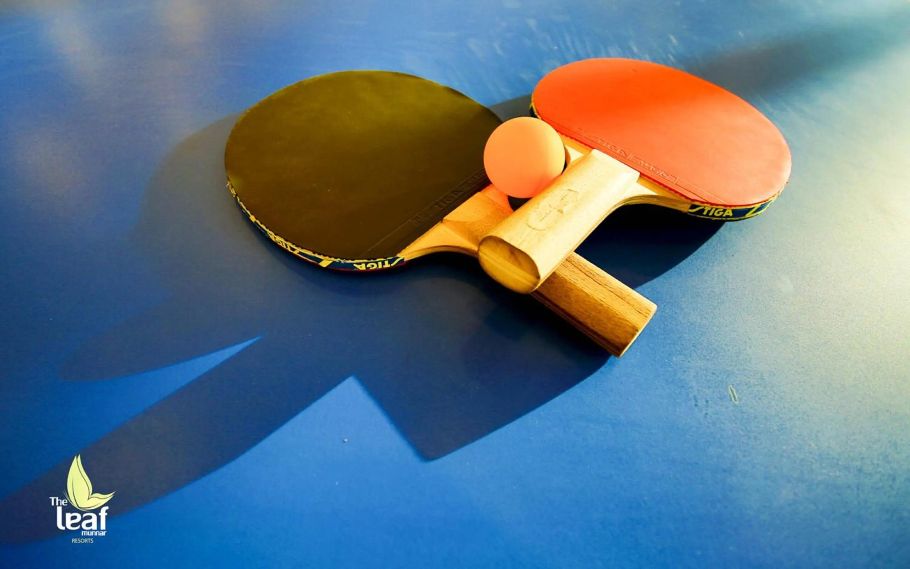 Activities in The Leaf Munnar